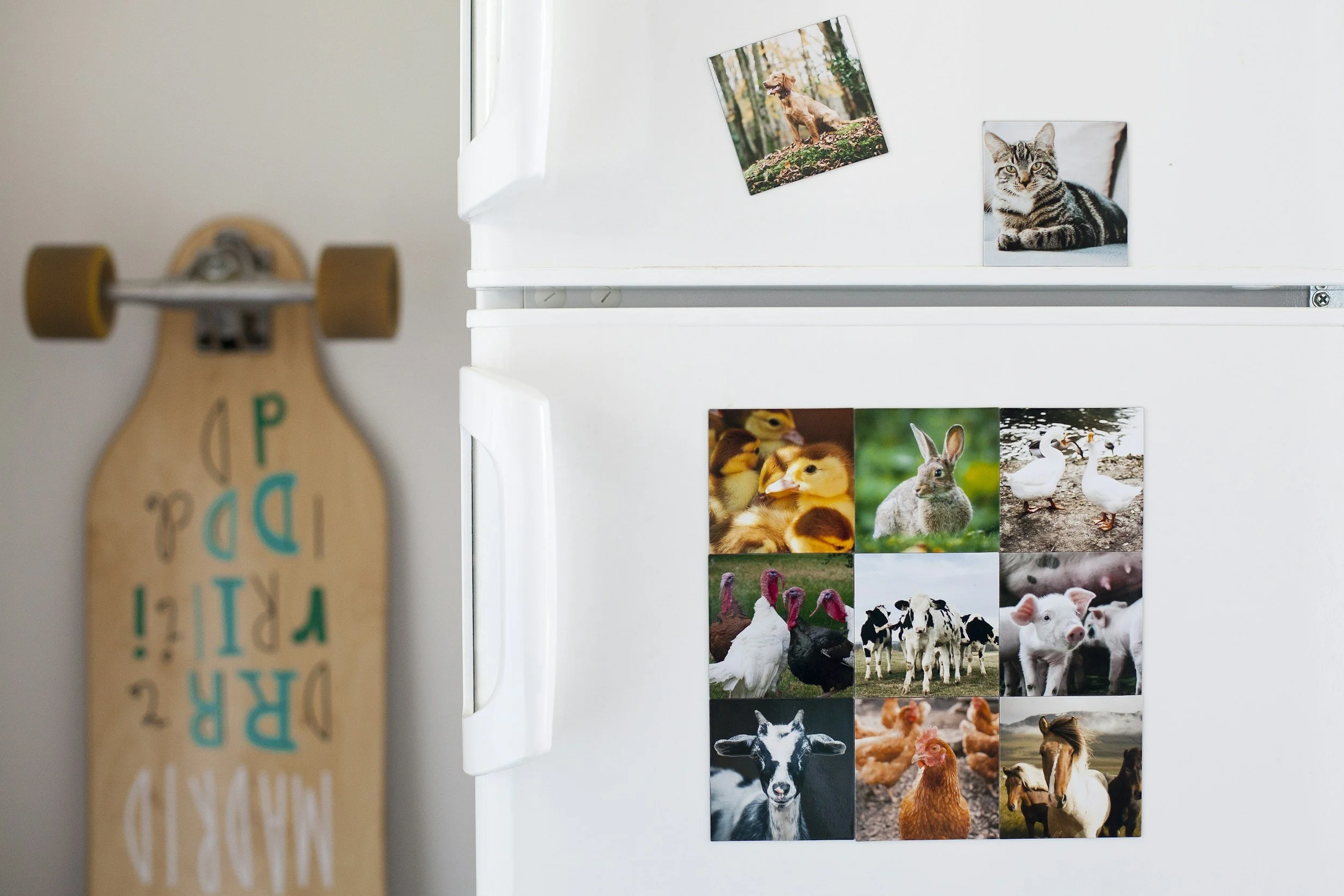 Photograph of a white refrigerator with animal photos on it, including a dog in the woods, a cat, ducks, turkeys, a rabbit, cows, pigs, goats, chickens, and horses. To the left, a skateboard with the words 'MAKE LIFE GOOD' written on it and a wheel attached on top.