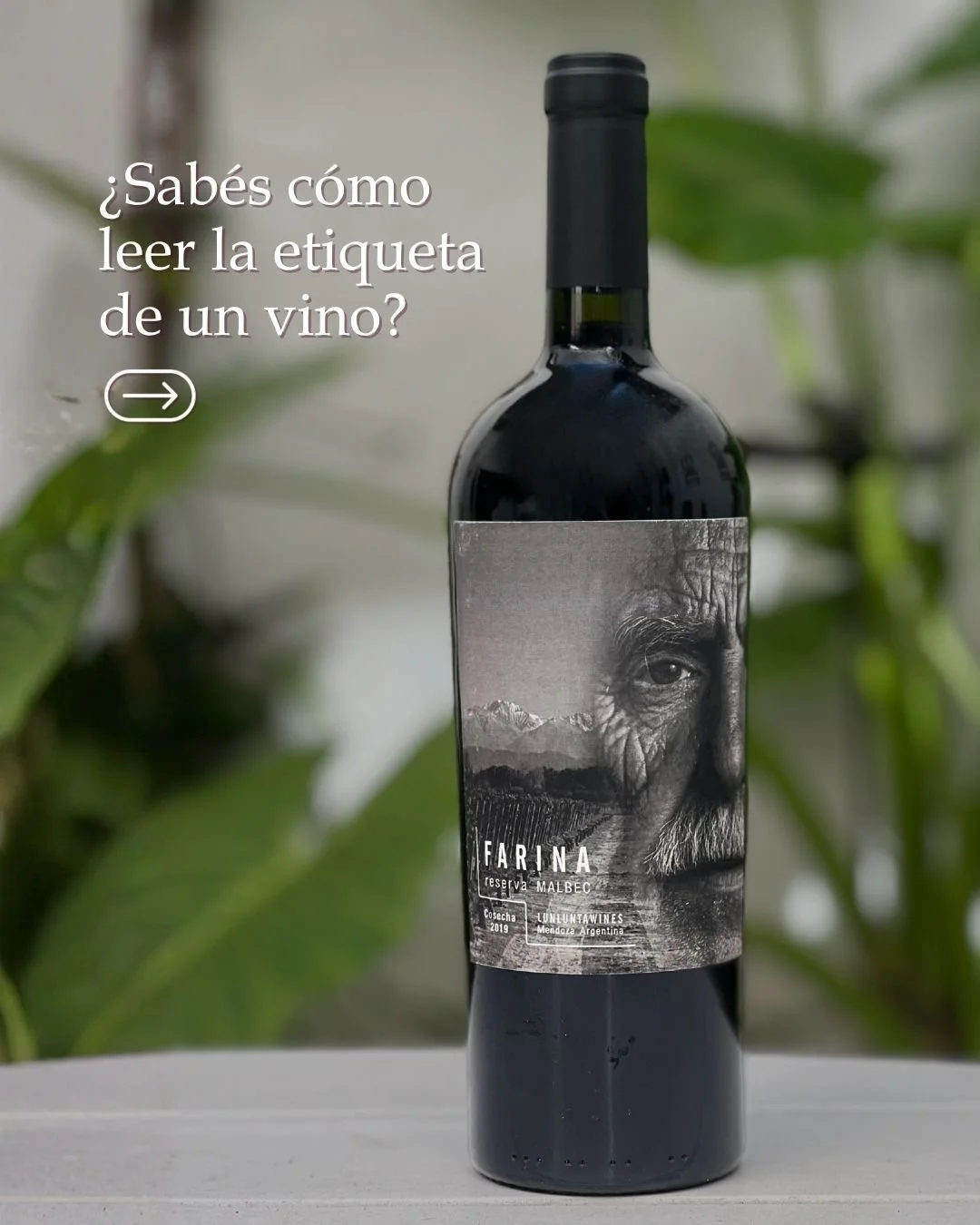 🕵️&zwj;♂️ &iquest;Sab&eacute;s leer una etiqueta de vino?
Detr&aacute;s de cada botella hay m&aacute;s informaci&oacute;n de la que imagin&aacute;s.
Nombre, origen, variedad, a&ntilde;o&hellip; cada detalle cuenta una historia.

🍇 En Lunlunta Wines