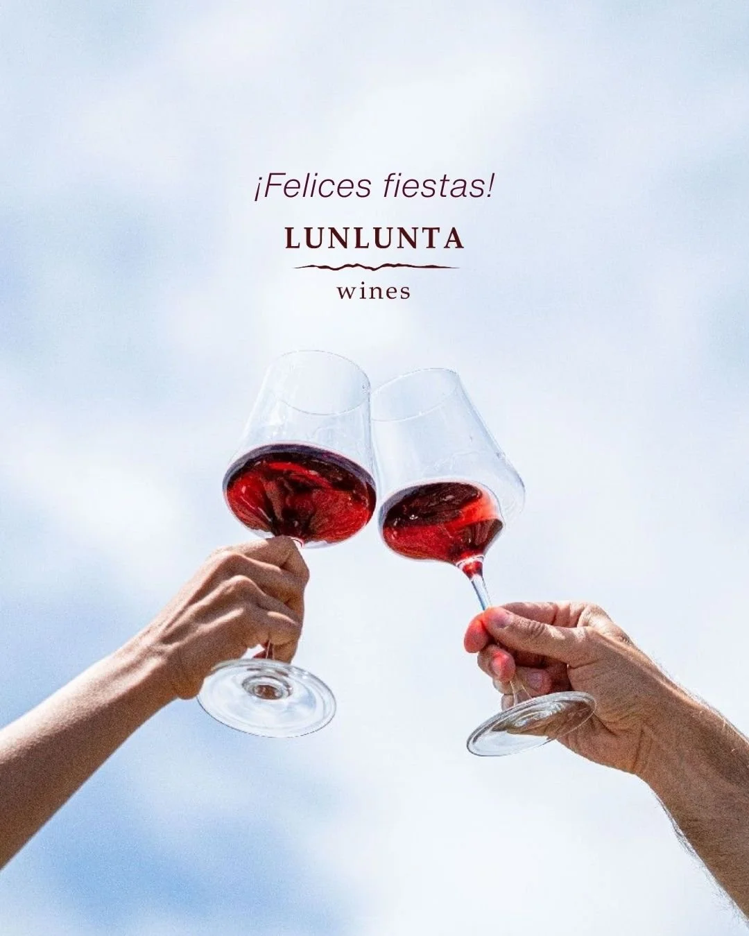 El fin de a&ntilde;o se brinda con lo que m&aacute;s disfrutamos: buenos momentos, buena compa&ntilde;&iacute;a y un gran vino 🍷