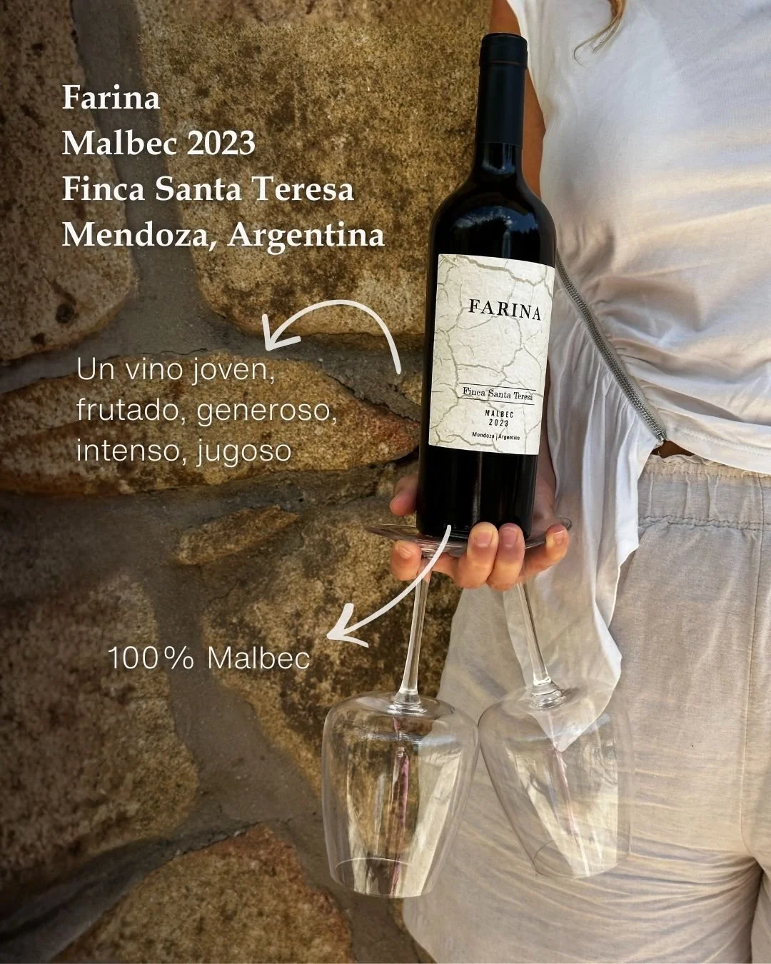 Un Malbec generoso, intenso y jugoso. 🍇

Farina &ndash; Finca Santa Teresa | Malbec 2023 nace en Perdriel, Luj&aacute;n de Cuyo, a casi 1.000 metros de altura.
De color rojo viol&aacute;ceo, joven y vigoroso, con aromas intensos a frambuesa, ciruela