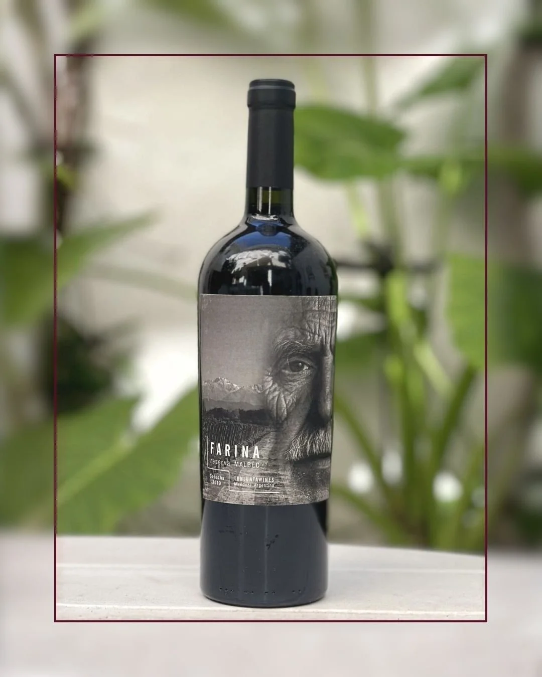 Malbec "Reserva" cosecha 2019

Este vino es el homenaje al centenario de las 4,5 ha de vi&ntilde;edos centenarios de uva Malbec 🌱🍇

Pero al mismo tiempo es el homenaje a todos los hombres que trabajan las vi&ntilde;as, porque existe una s