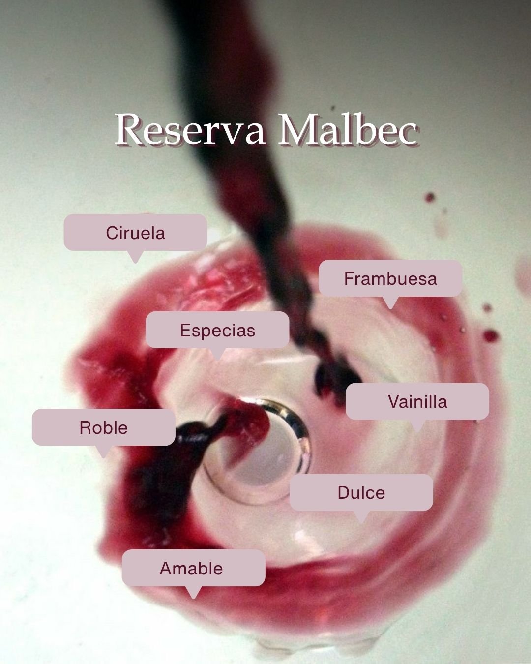 Cada vino tiene su forma de expresarse 🍷

En este Malbec vas a encontrar fruta madura como ciruela y frambuesa,
notas especiadas, vainilla y el aporte del roble que le da estructura y profundidad.

Un vino intenso, elegante y con un final que perdur