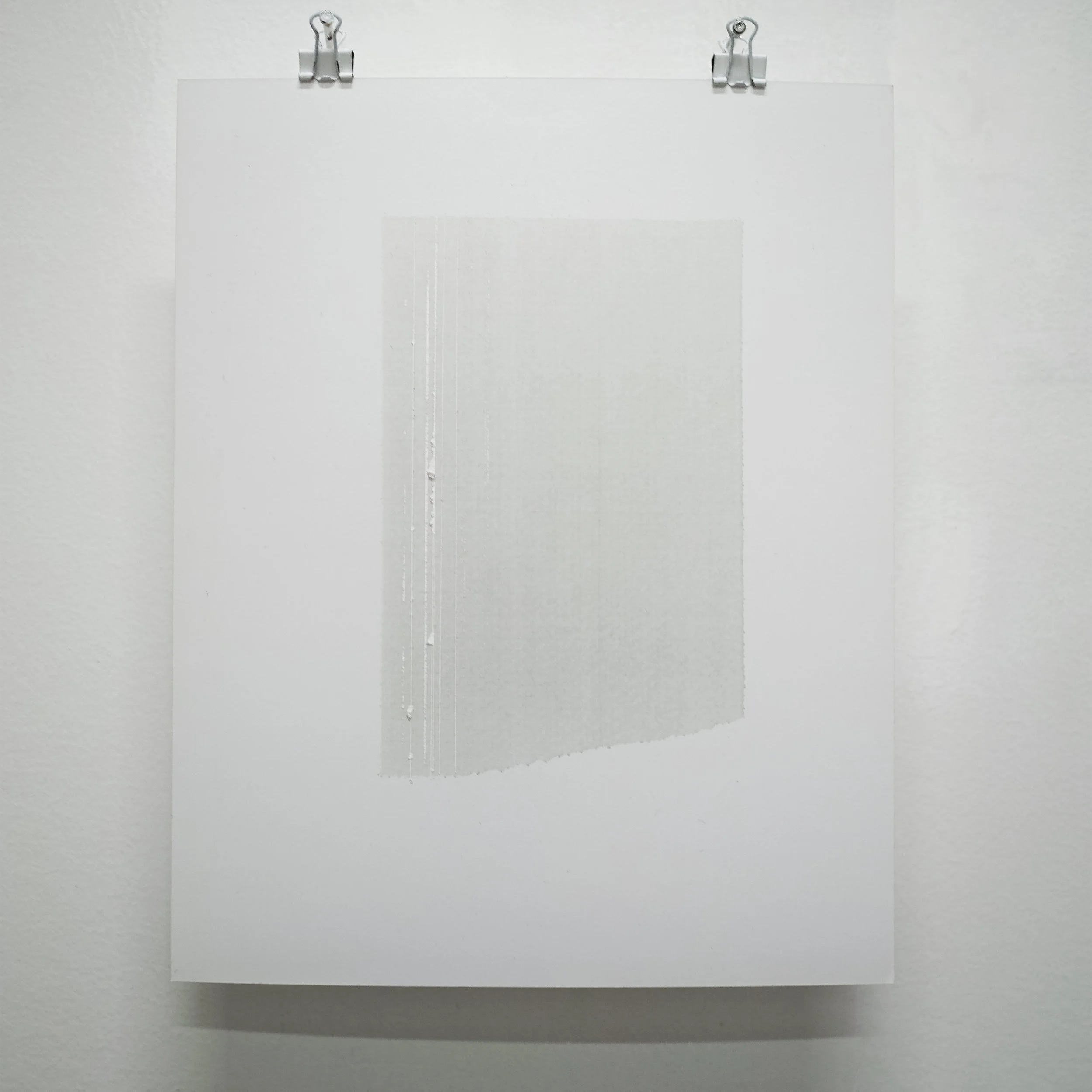 White digital photograph with manual engravings.