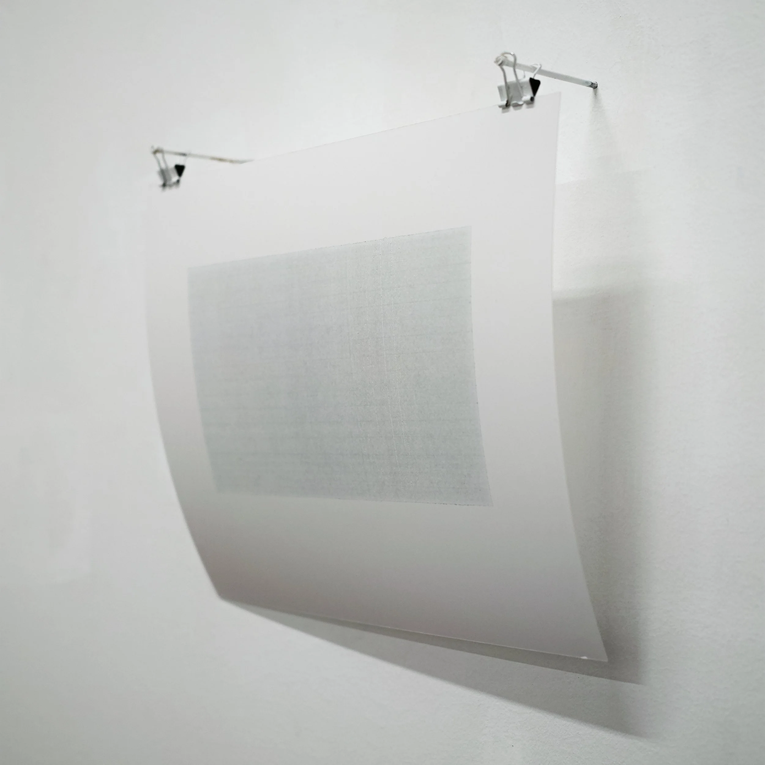 color digital -c print with a sculptural aspect.