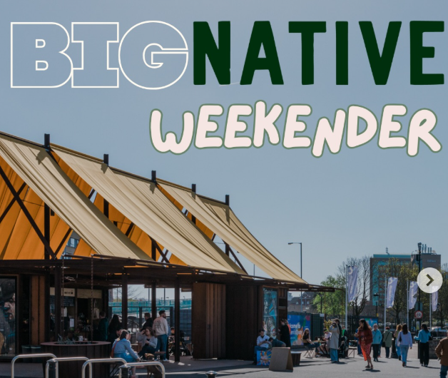 BIG NATIVE WEEKENDER
