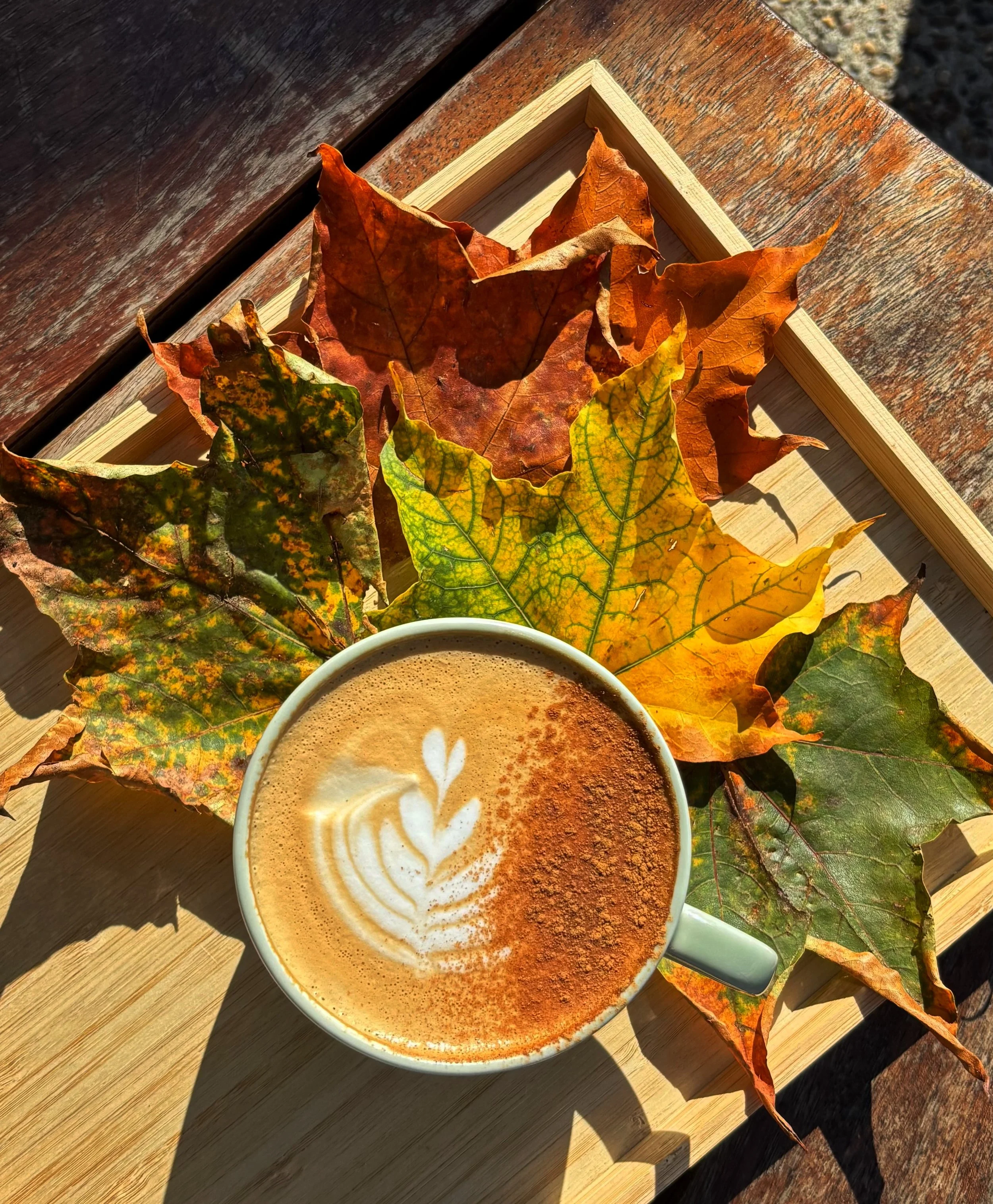 🍁SEASONAL SPECIAL ☕️

Our resident experimental potion maker, Liv, presents this years homemade Pumpkin Spice syrup to all our lovely customers this Autumn!

Come by and try, let us know what you think 😊