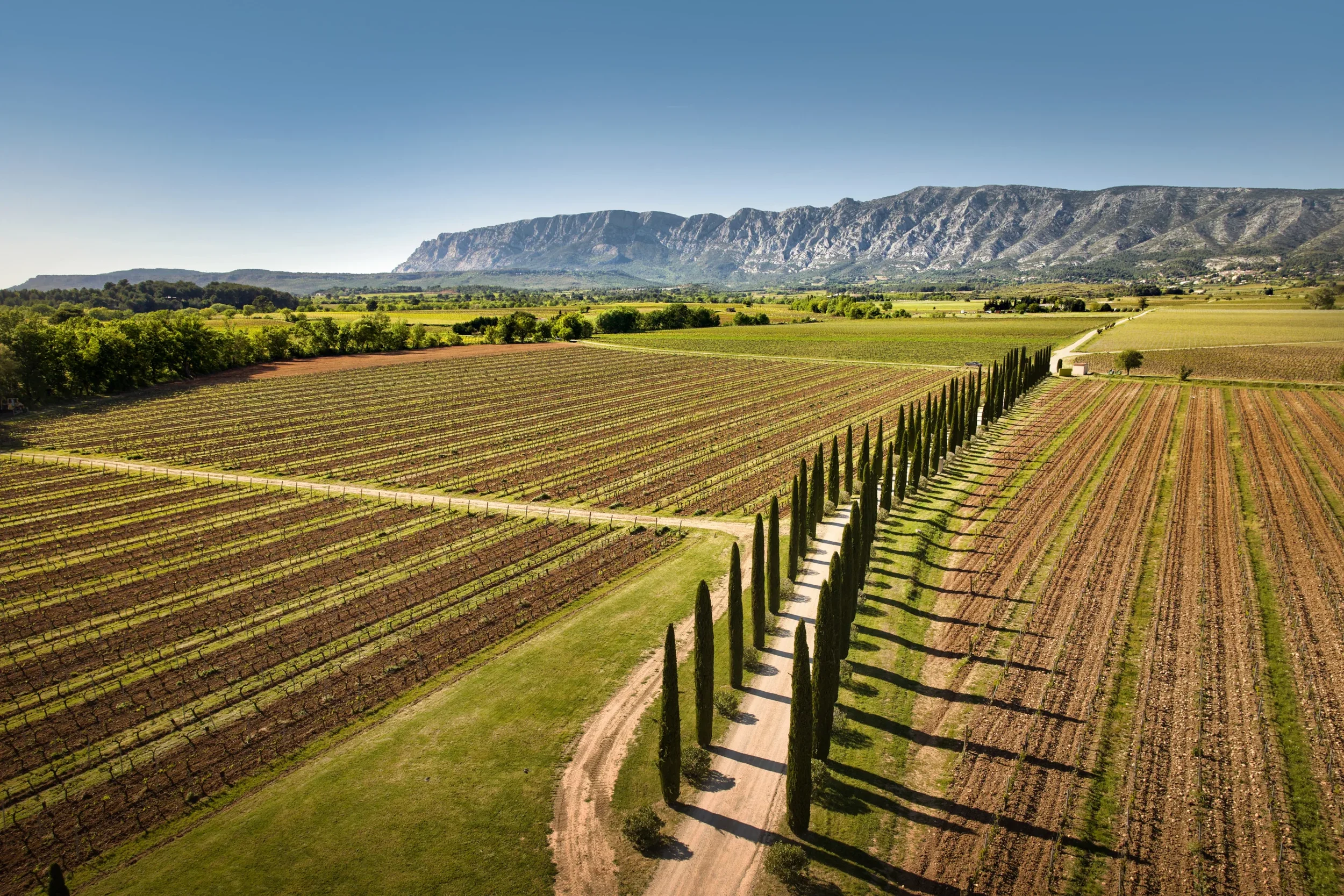 La Camionnette Pompette La Grande Bauquiere