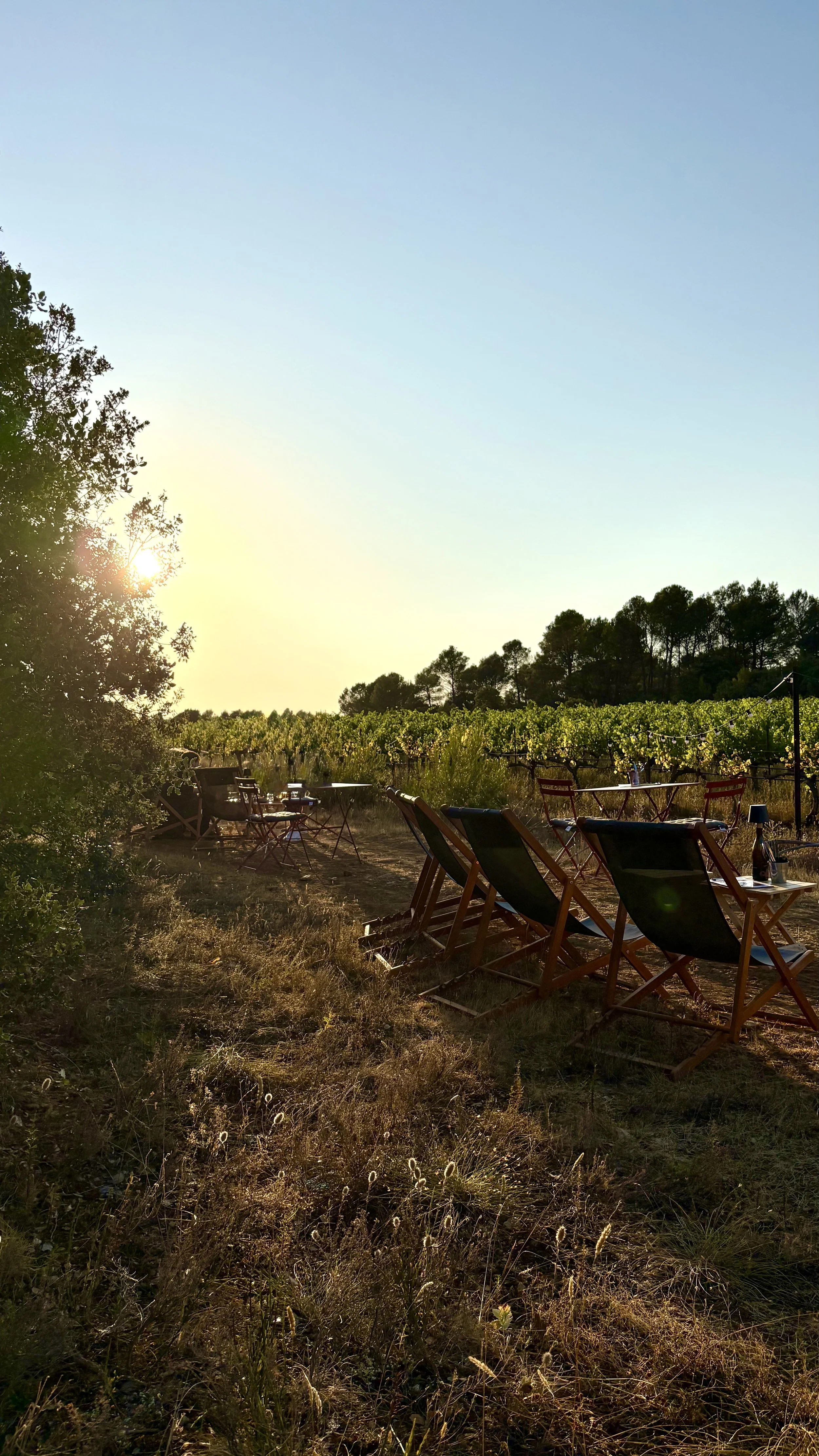 Chaises longues en bois avec coussins noirs et petites tables de camping dans un vignoble au coucher du soleil, avec des arbres en arrière-plan.
