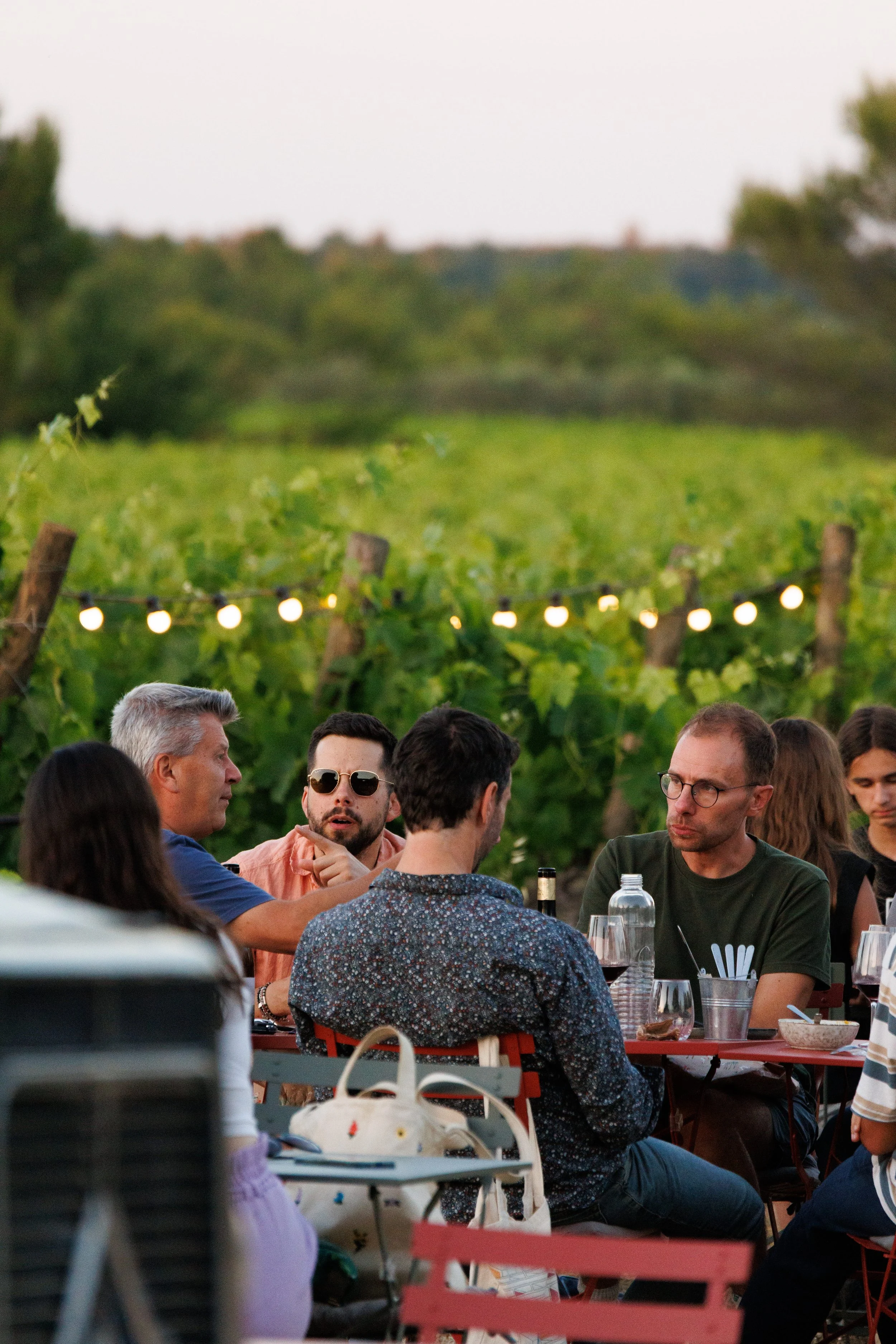 Une bouteille de vin noir avec une étiquette intitulée "Buisson Renard" située sur une table extérieure au soleil, avec un seau contenant des cuillères à café à gauche et un fond de végétation et de ciel bleu.
