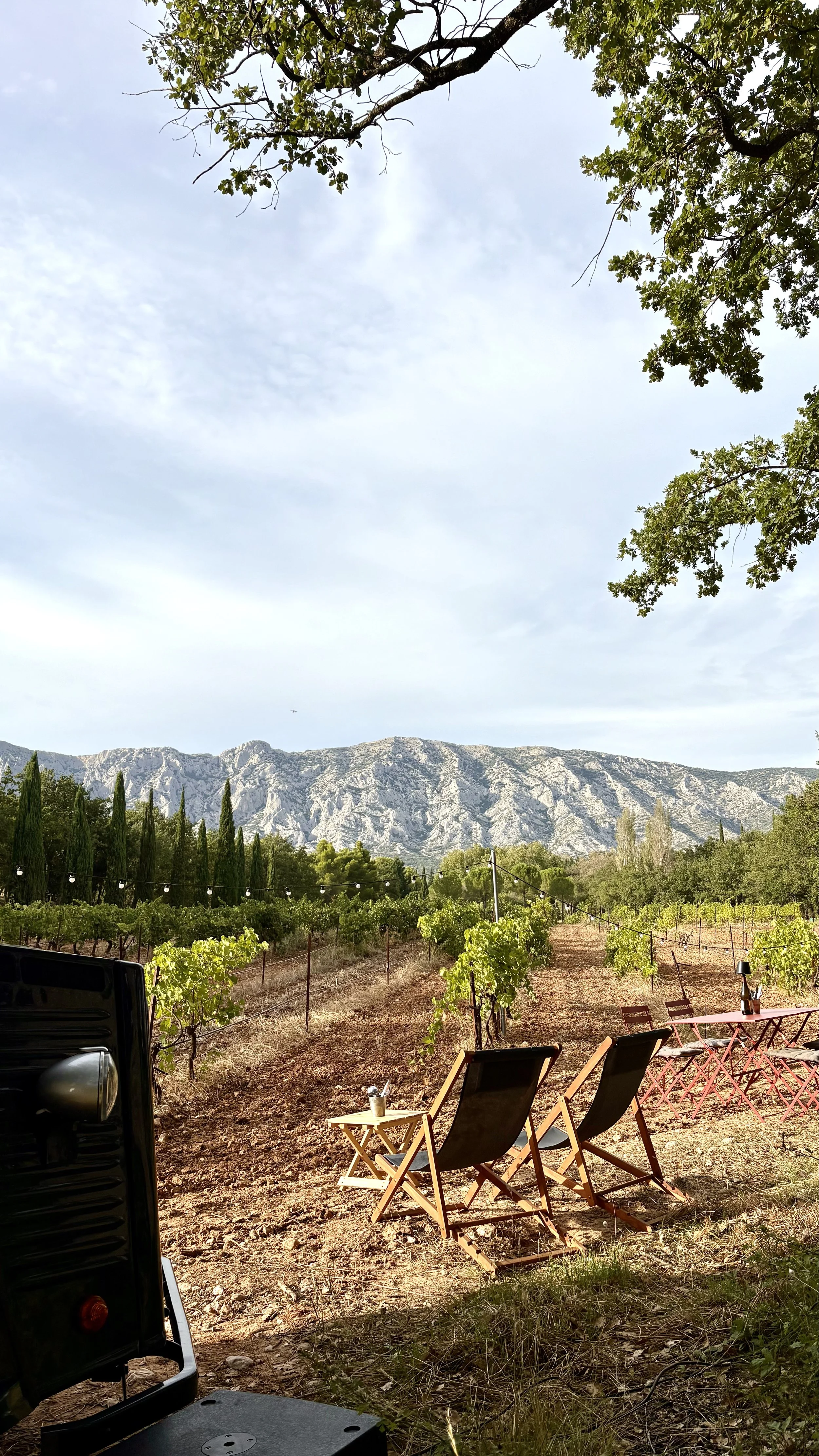 Vignes avec montagnes en arrière-plan, chaise longue et petite table devant, sous un arbre avec un ciel partiellement nuageux.