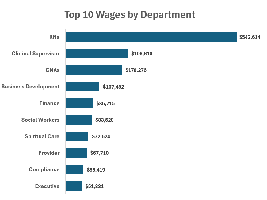 Bar chart titled 'Top 10 Wages by Department' showing salaries for various hospital department staff, with RN at $542,614 as the highest and Executive at $51,831 as the lowest.