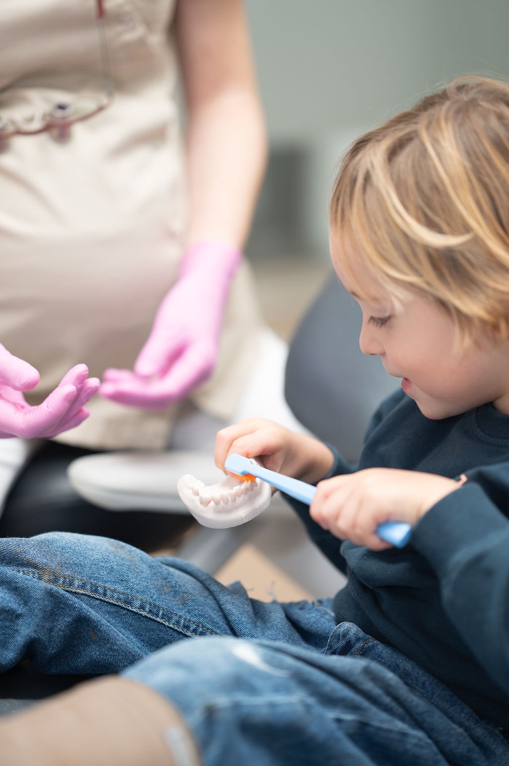 Een kind poetst tanden met een tandenborstel en een tandenmodel terwijl de mondhygiënist van Mondzorg Voorne in Oostvoorne en Hellevoetsluis op de achtergrond advies geeft.
