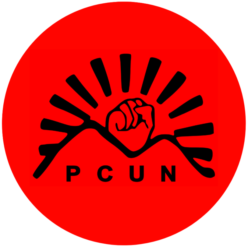 Red background with a black clenched fist above the letters 'PCUN' and radiating lines behind it.