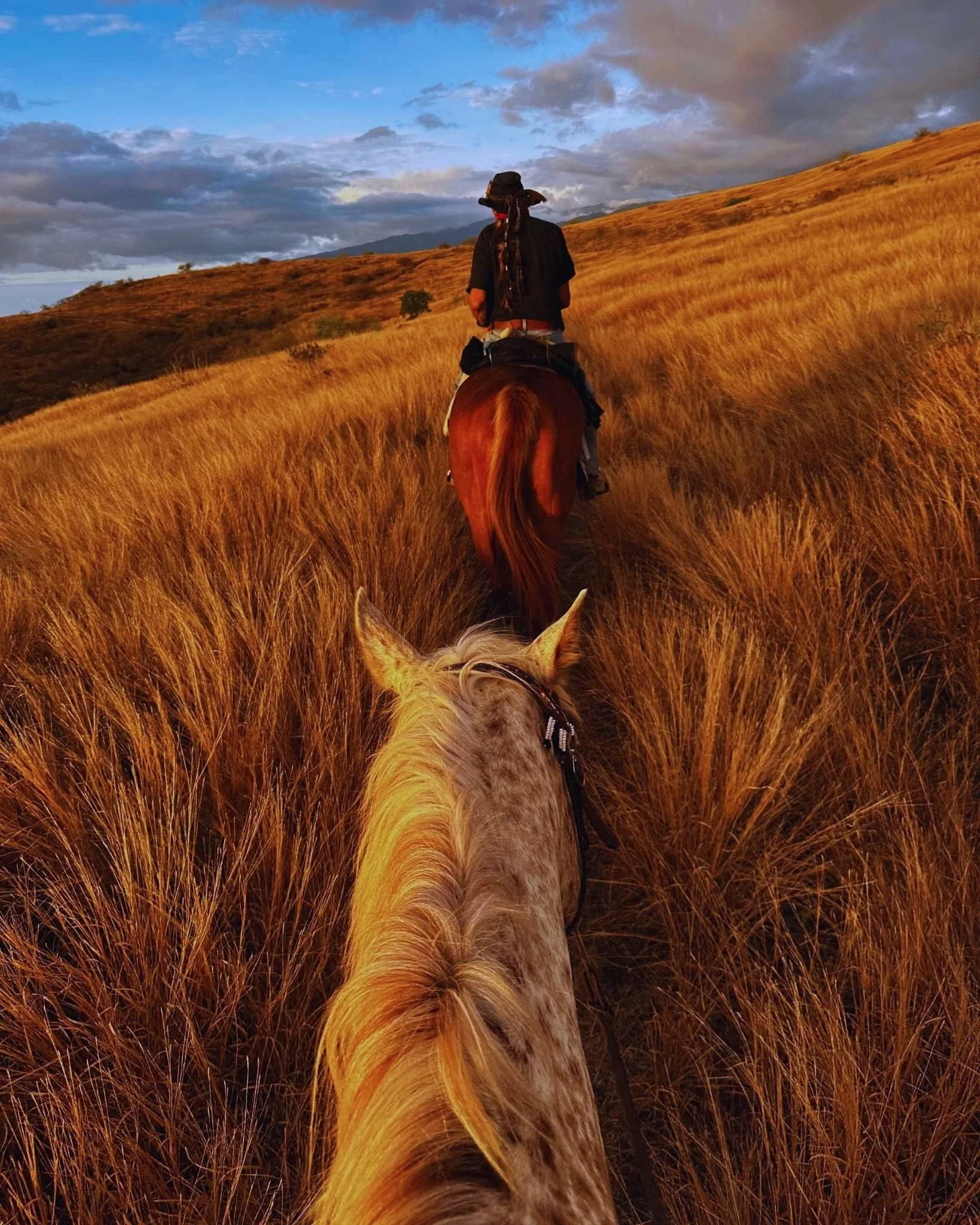Shaiena — Ranch horseback, Reunion