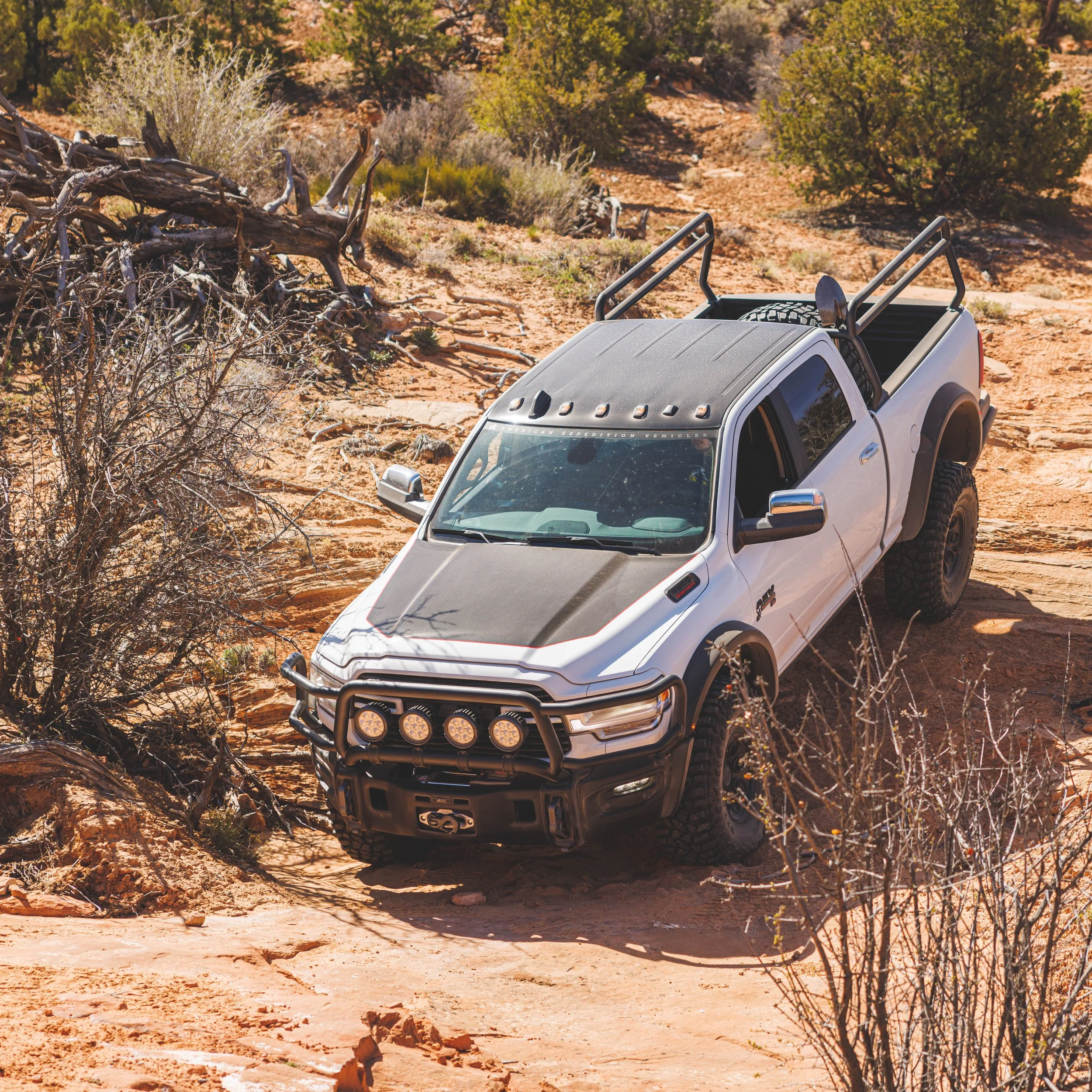 A silver pickup truck with off-road tires and a black bumper guard parked on rugged desert terrain with bushes and rocks.