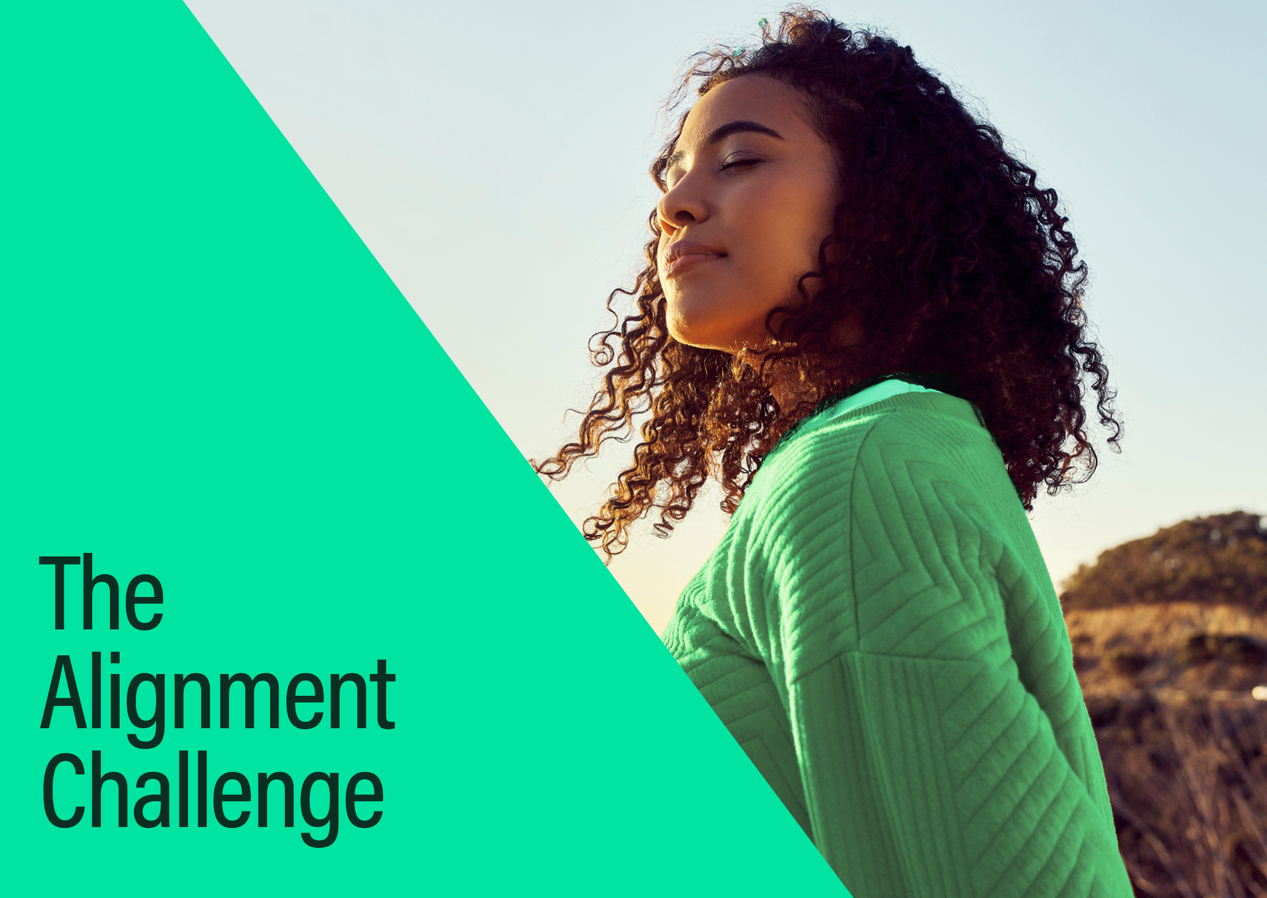 The Alignment Challenge