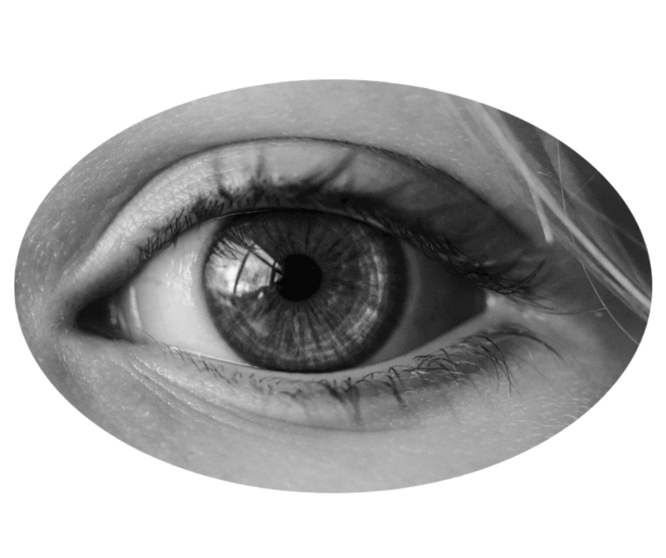 Close-up of a human eye, black and white, showing the iris, pupil, and eyelashes.