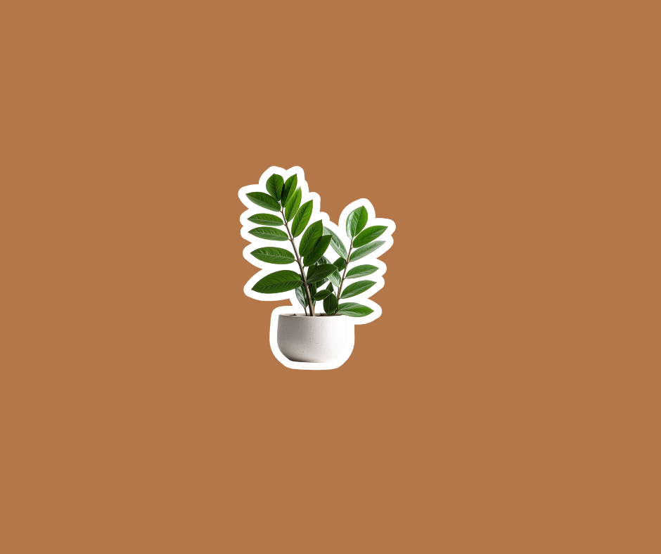 Sticker of a green leafy plant in a white pot on a brown background.