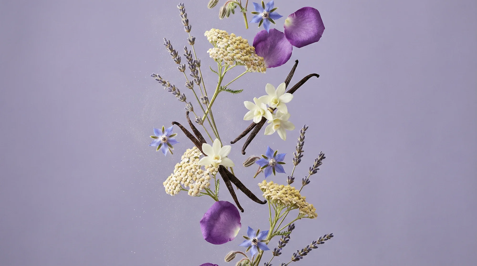 Un mazzo di fiori di lavanda, petali di rosa viola, e altre piante aromatiche disposte artisticamente su uno sfondo viola chiaro.
