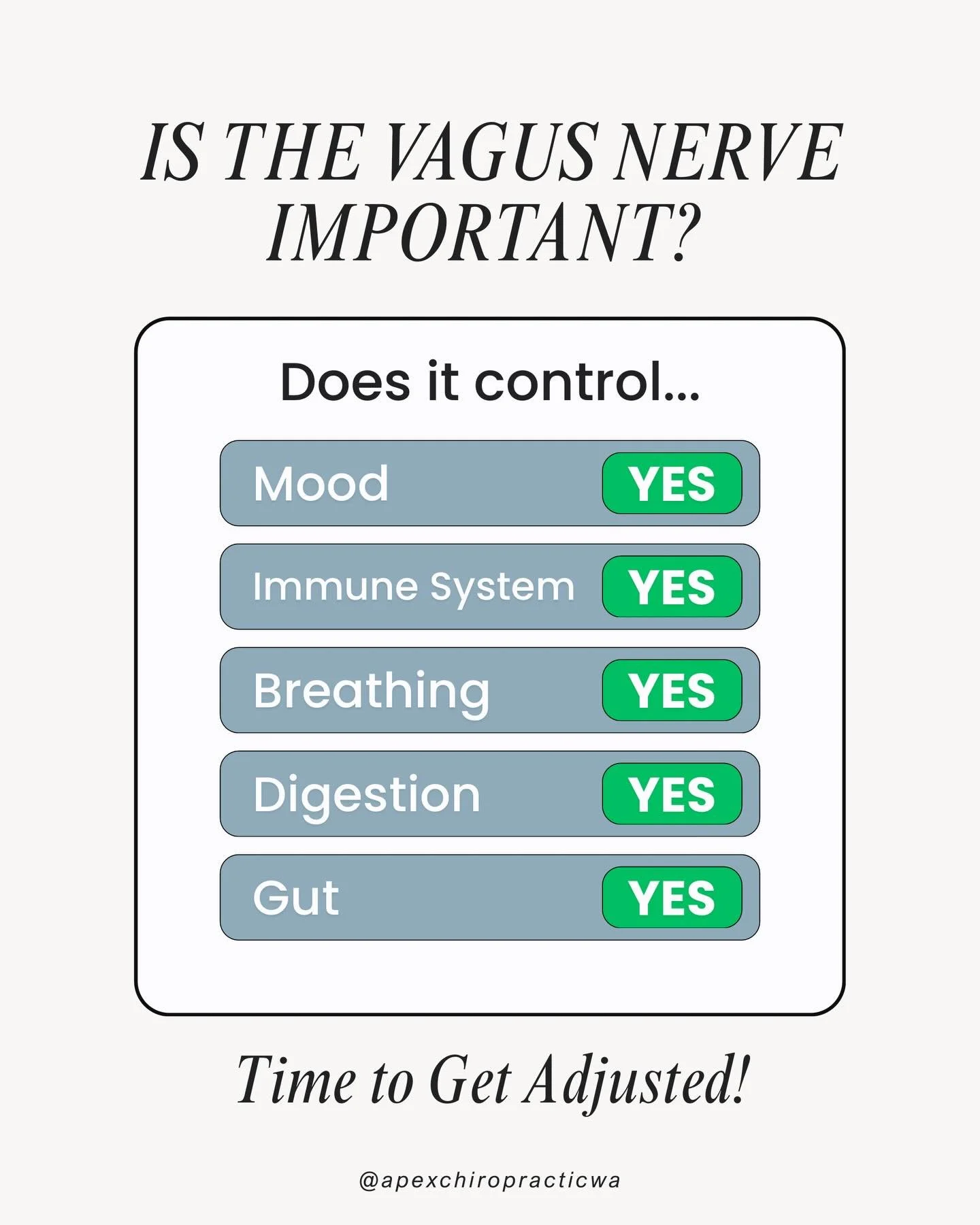 Just us over here shouting it from the rooftop. 📣

If you&rsquo;re ready to join the vagus nerve club, check out the article at the link in our bio. You&rsquo;ll be out here with us on the rooftop after you do. 😉

#pxdocs #bothellwa