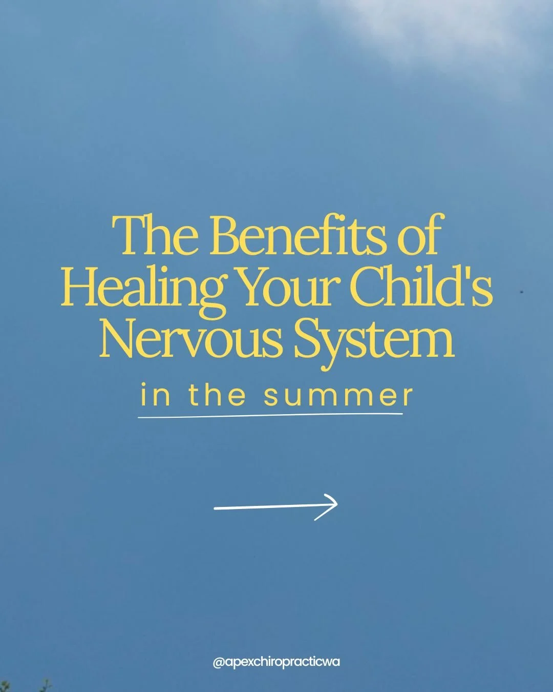 School&rsquo;s out, and nervous system healing is in! ☀️

Link in bio to schedule your neurological scans!

#holistichealth #bothellwa #chiropractor