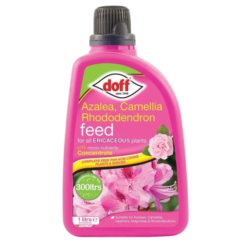 doff-azalea-camellia-rhododendron-ericaceous-plant-feed-food-liquid-fjia00dof01-1-800x800.jpg