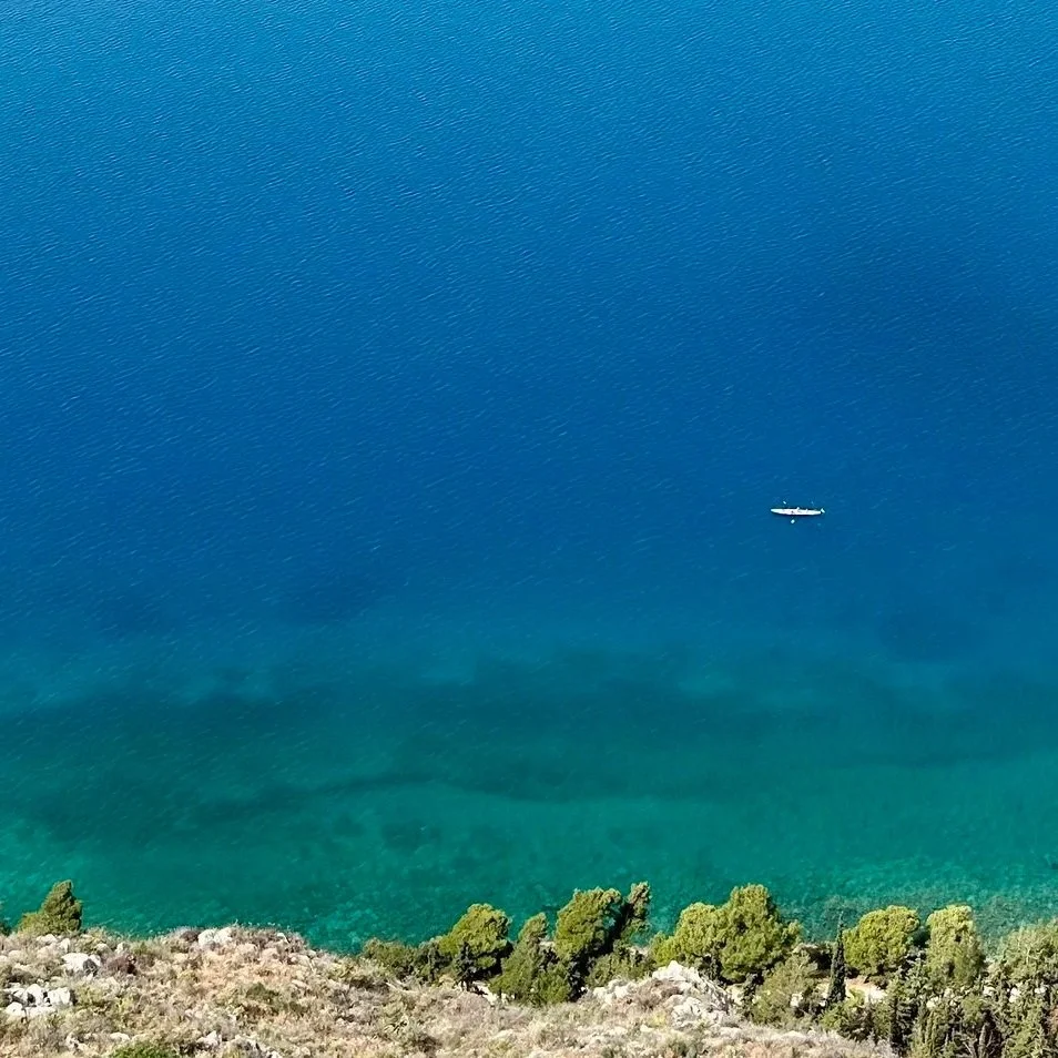 Helping Cleantech Startups Map Their Path to Commercialization