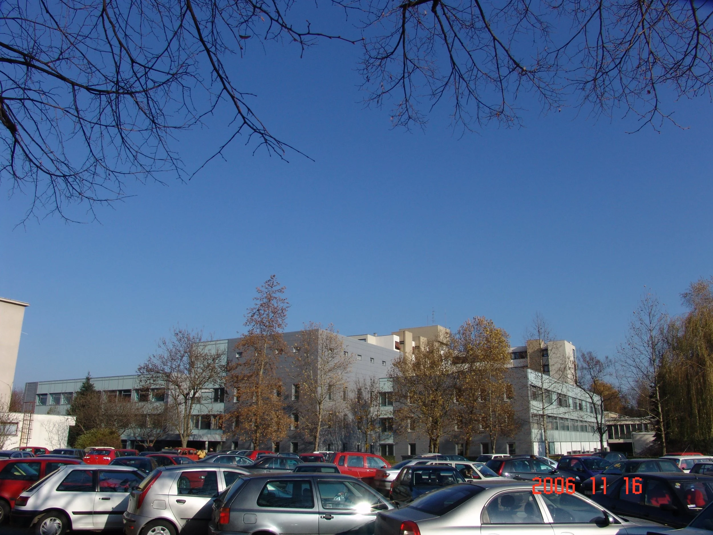 DSC01821.JPG