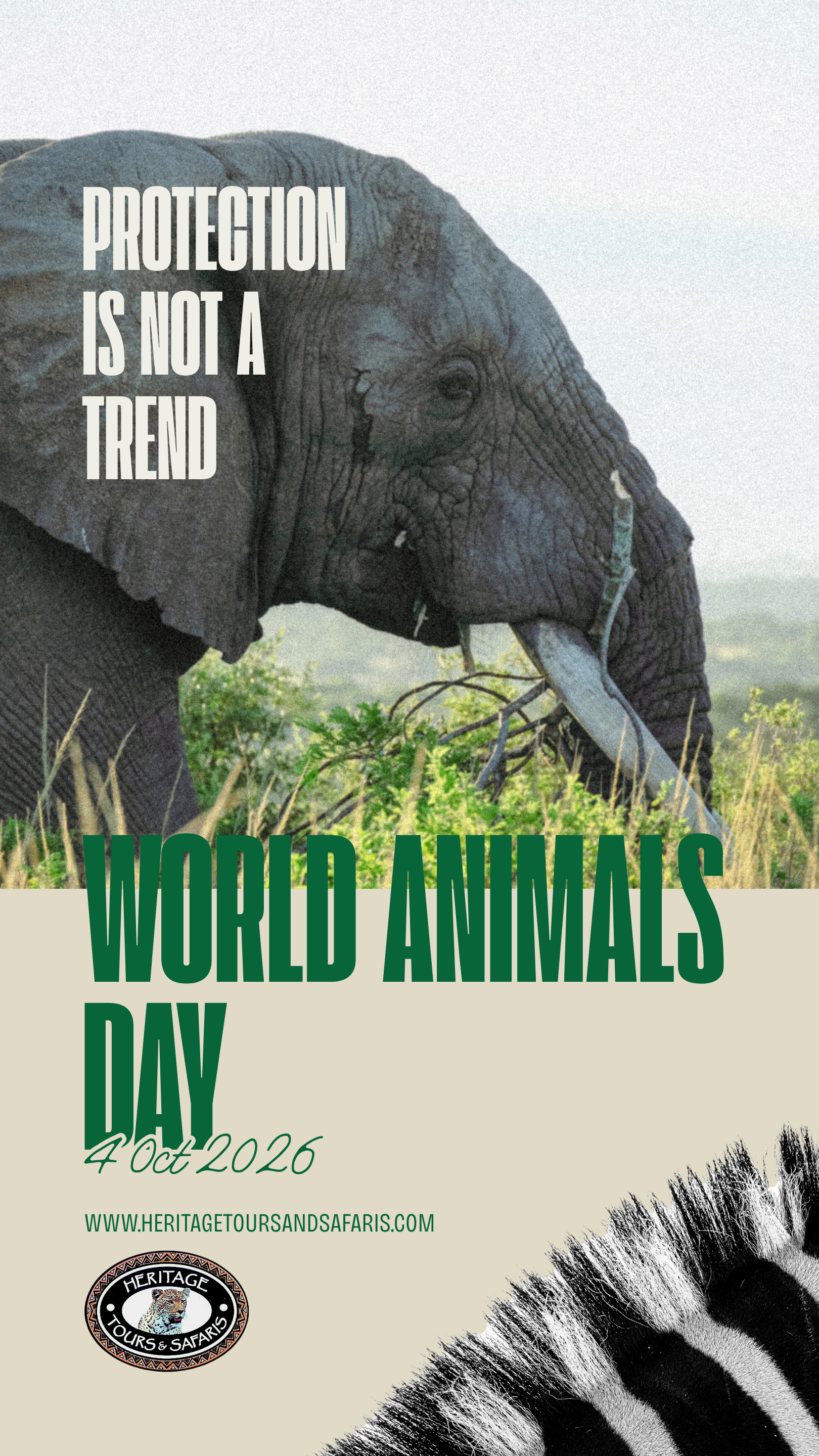 Plakat zum World Animal Day mit einem Elefanten in freier Natur, Text „Protection is not a trend“, Hinweis auf den World Animal Day am 4. Oktober 2026 und Logo.