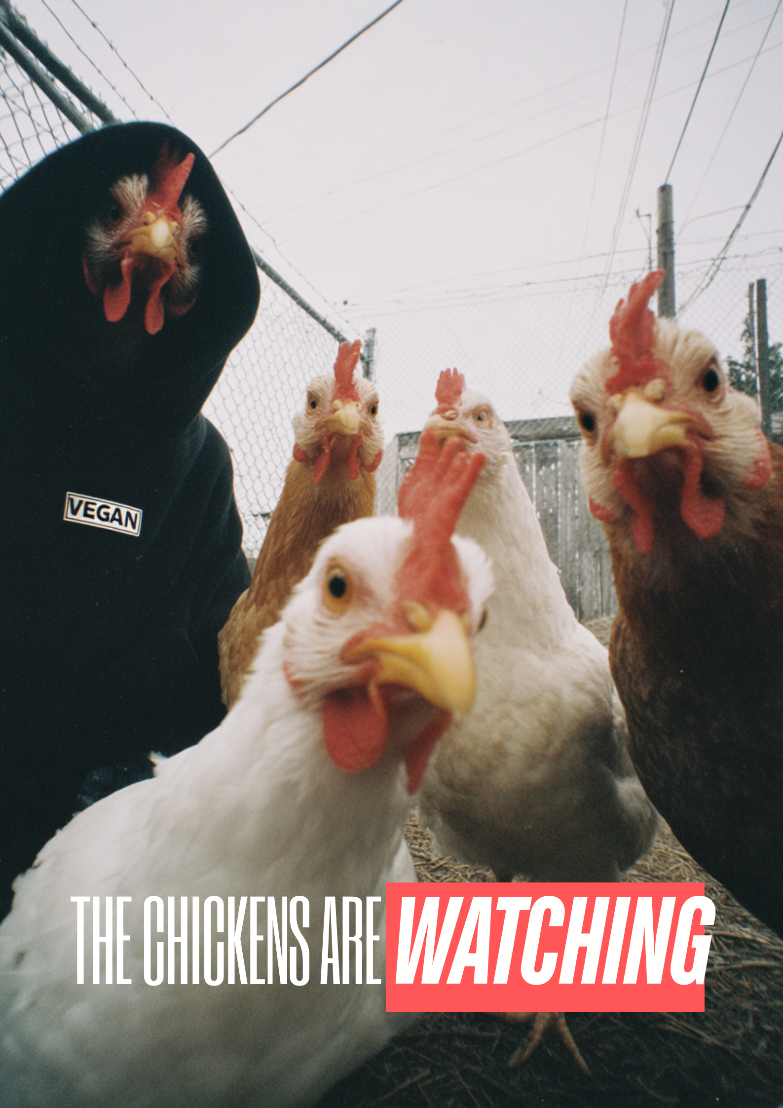 Urbanes Protestplakat mit Hühnern, die in die Kamera starren, und maskierten Aktivisten hinter ihnen, vegane Straßenkampagne mit der auffälligen Überschrift „Die Hühner beobachten euch“.