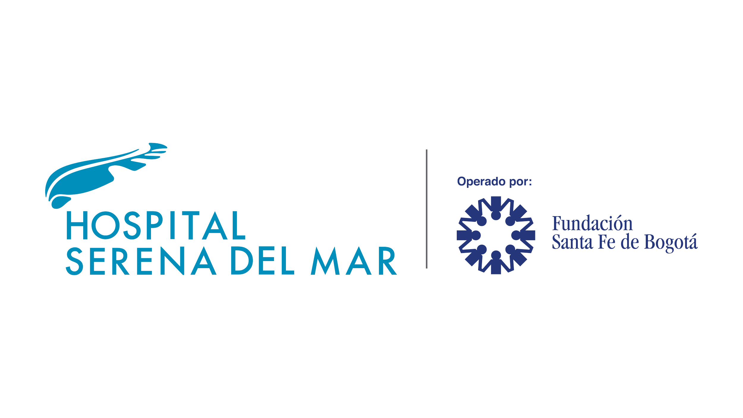 Logo HSM extendido.png
