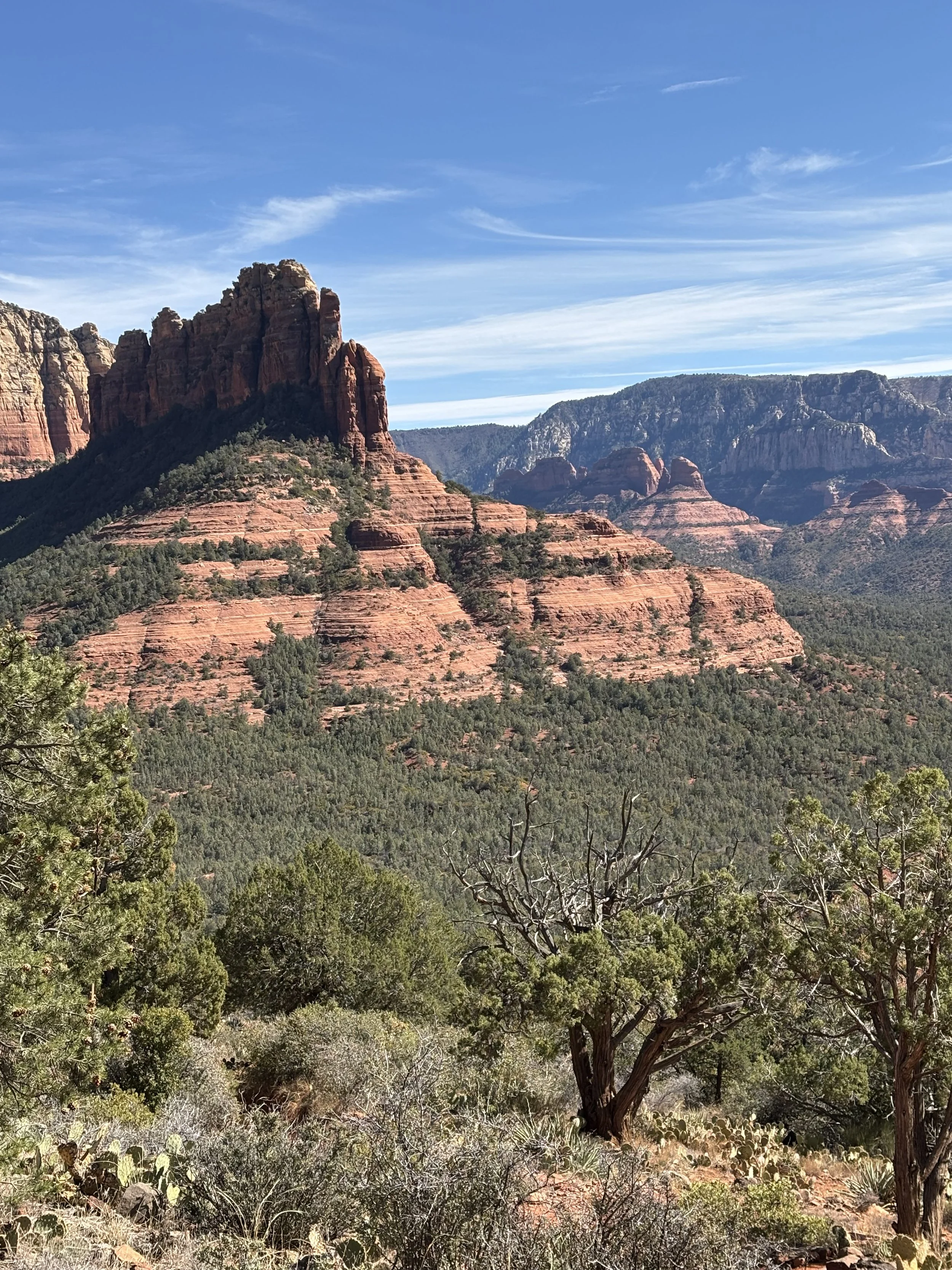 What are Soul Readings: A reflection