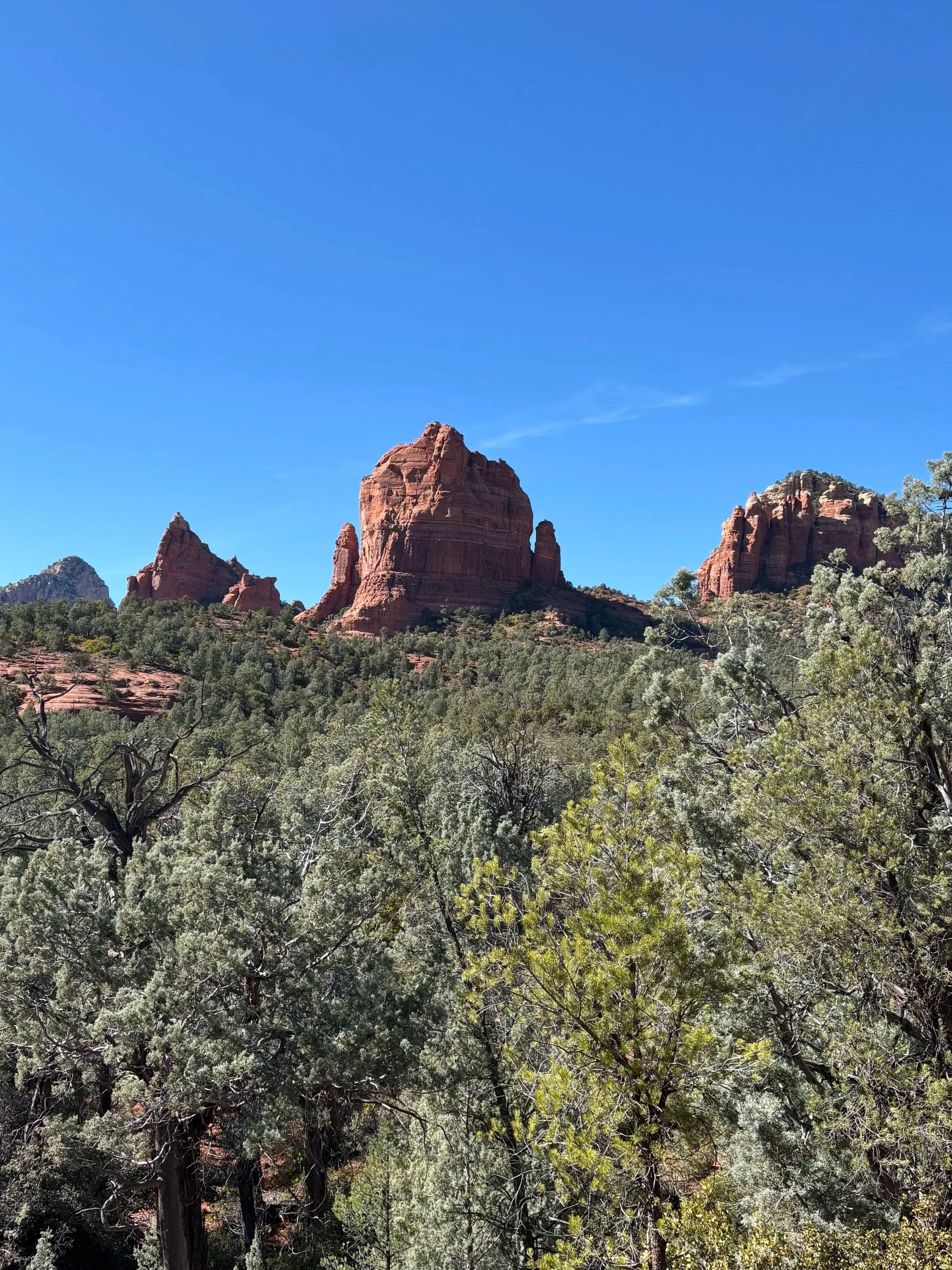 Which Soul Reading is Best to Choose?