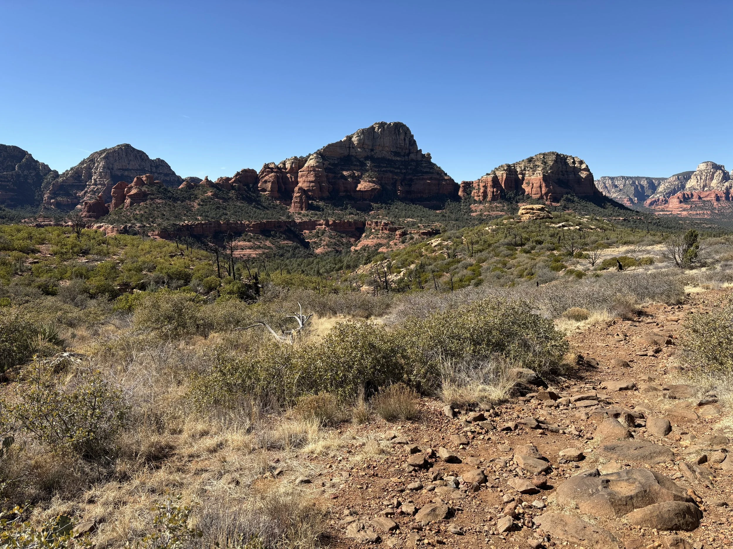 Why are they called Soul Readings?