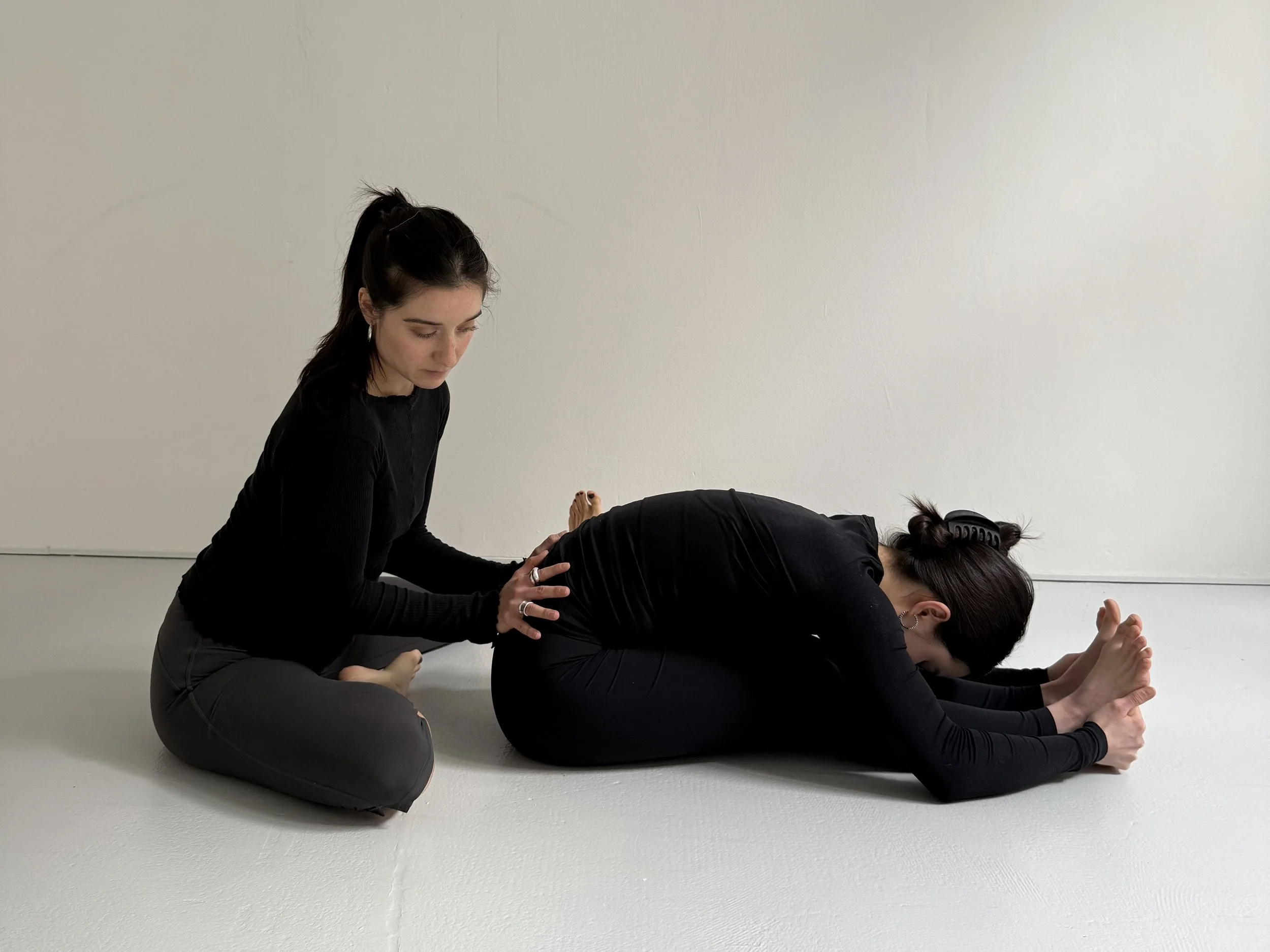 15 hs Hands on Assist Training