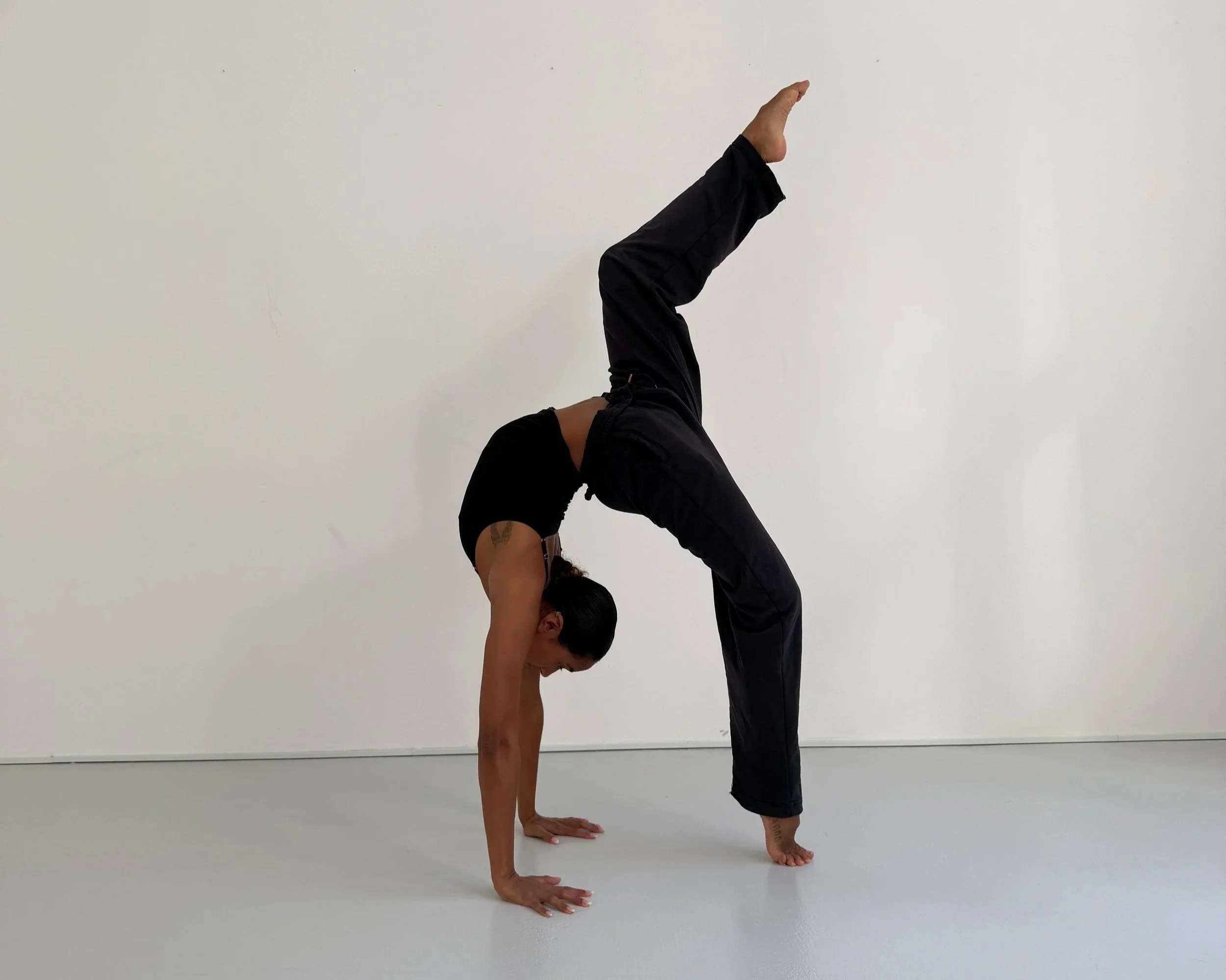 Deep Dive Flexibility + Contortion Workshop