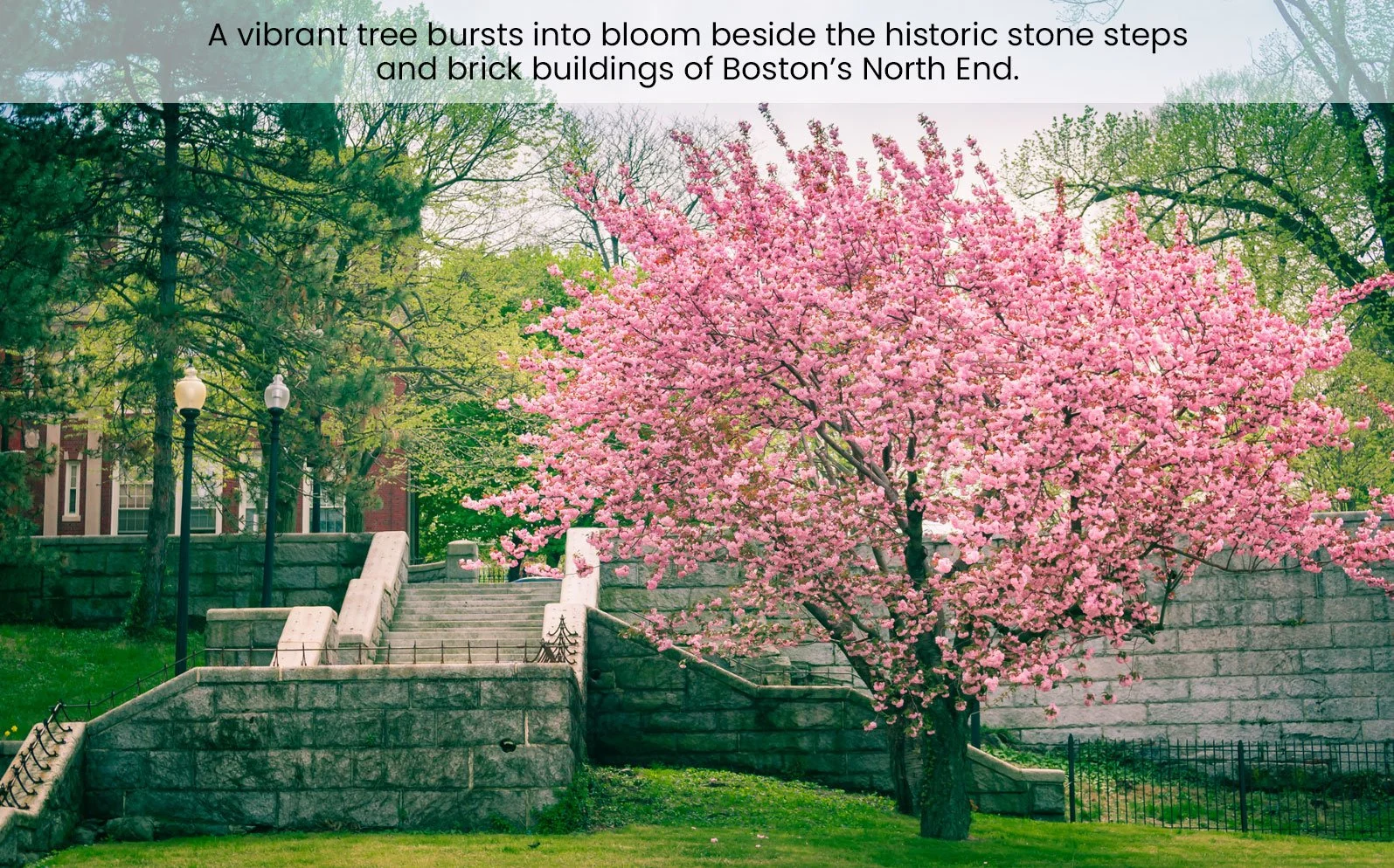 Photo credit: Matt Conti