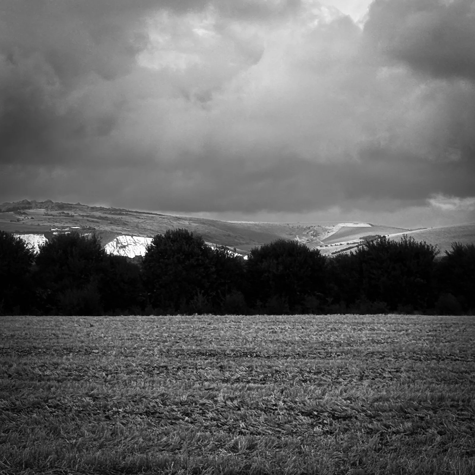 GG web images SD-4.jpg