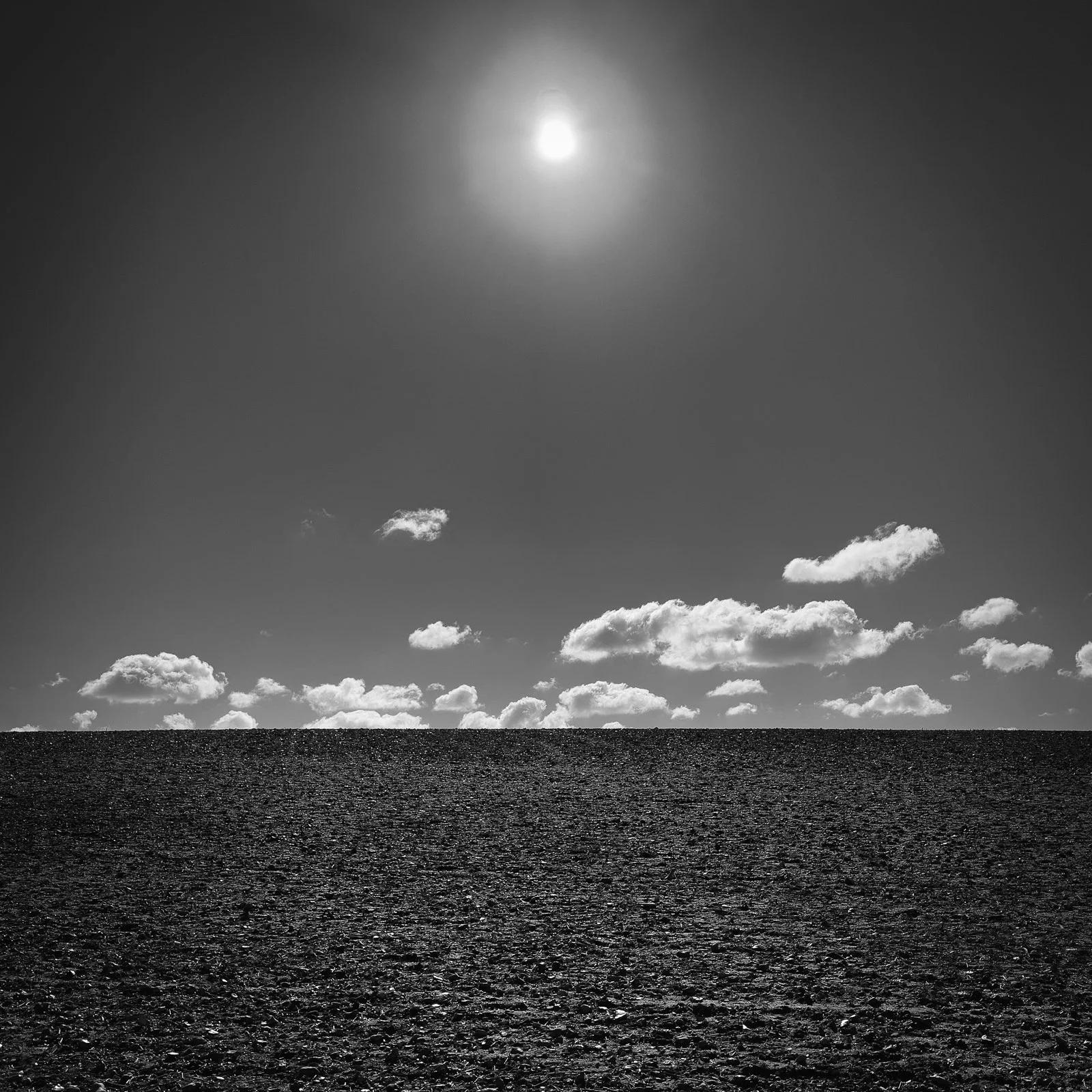 GG web images SD-2.jpg