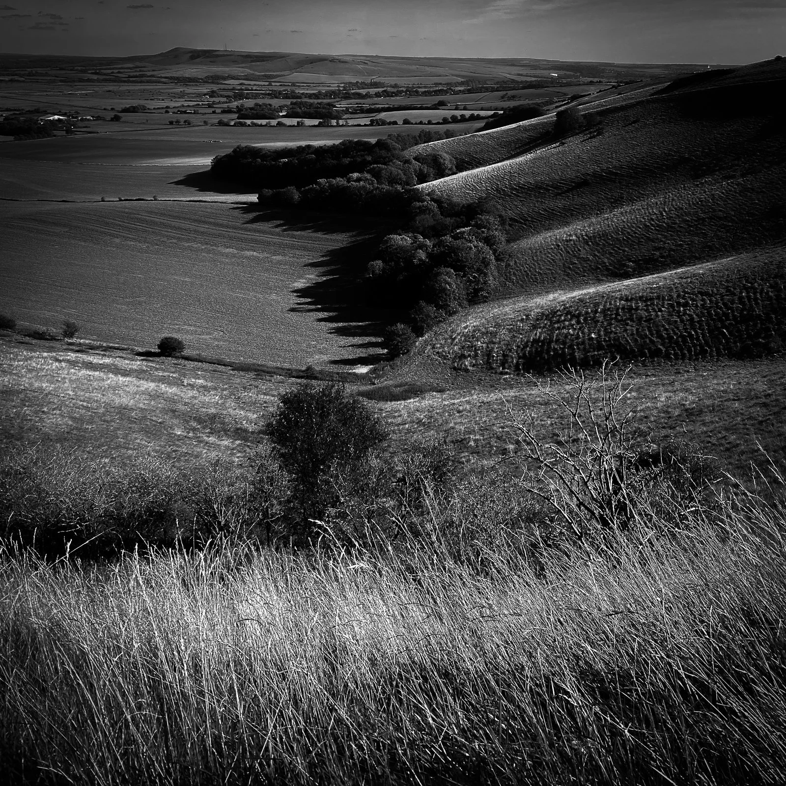 GG web images SD-7.jpg