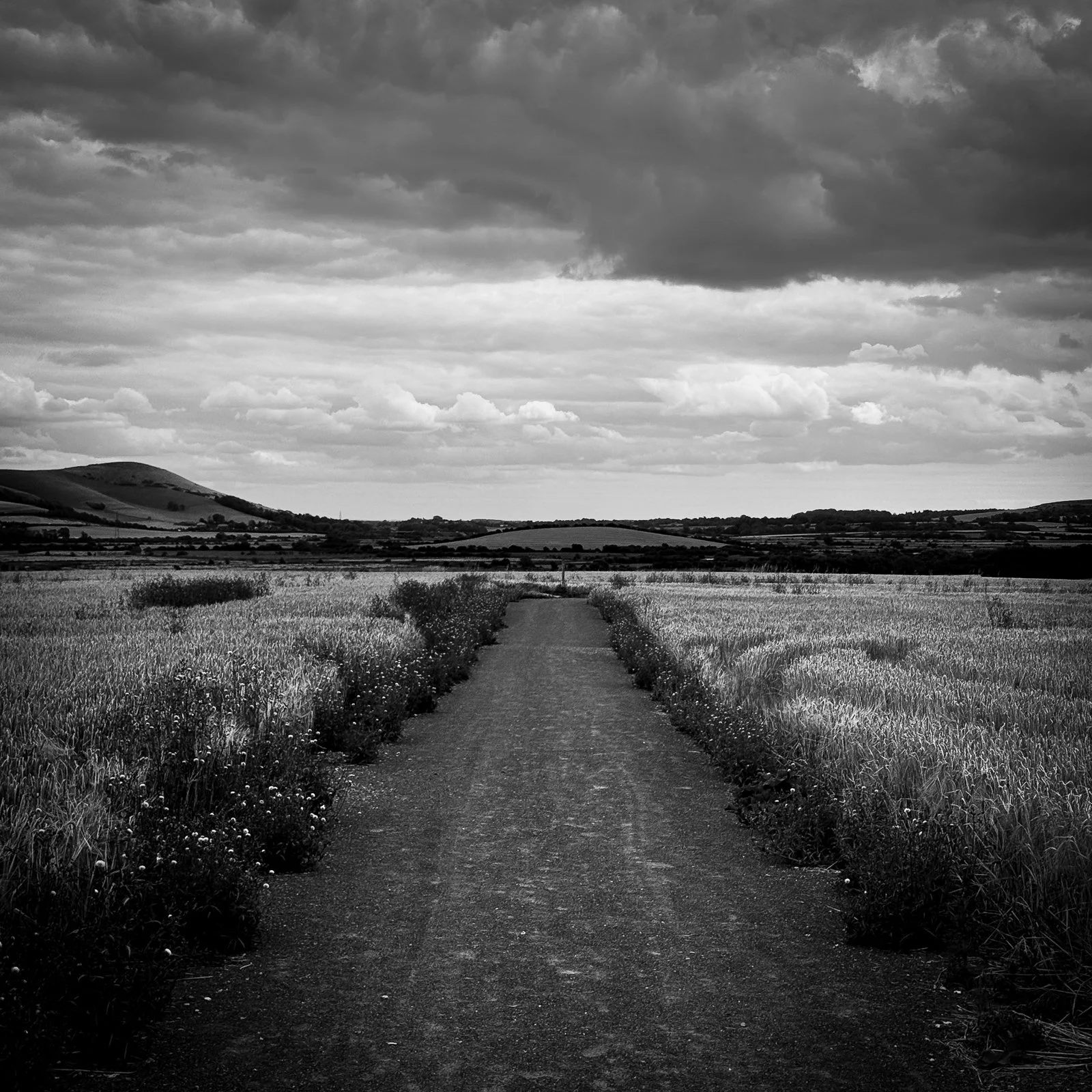 GG web images SD-8.jpg