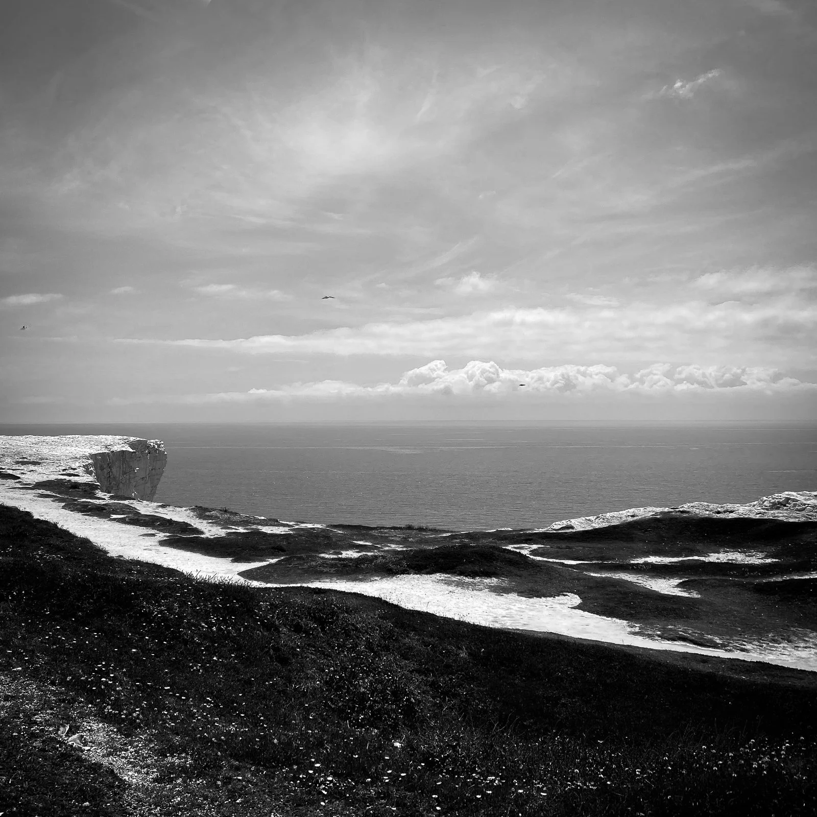 GG web images SD-6.jpg