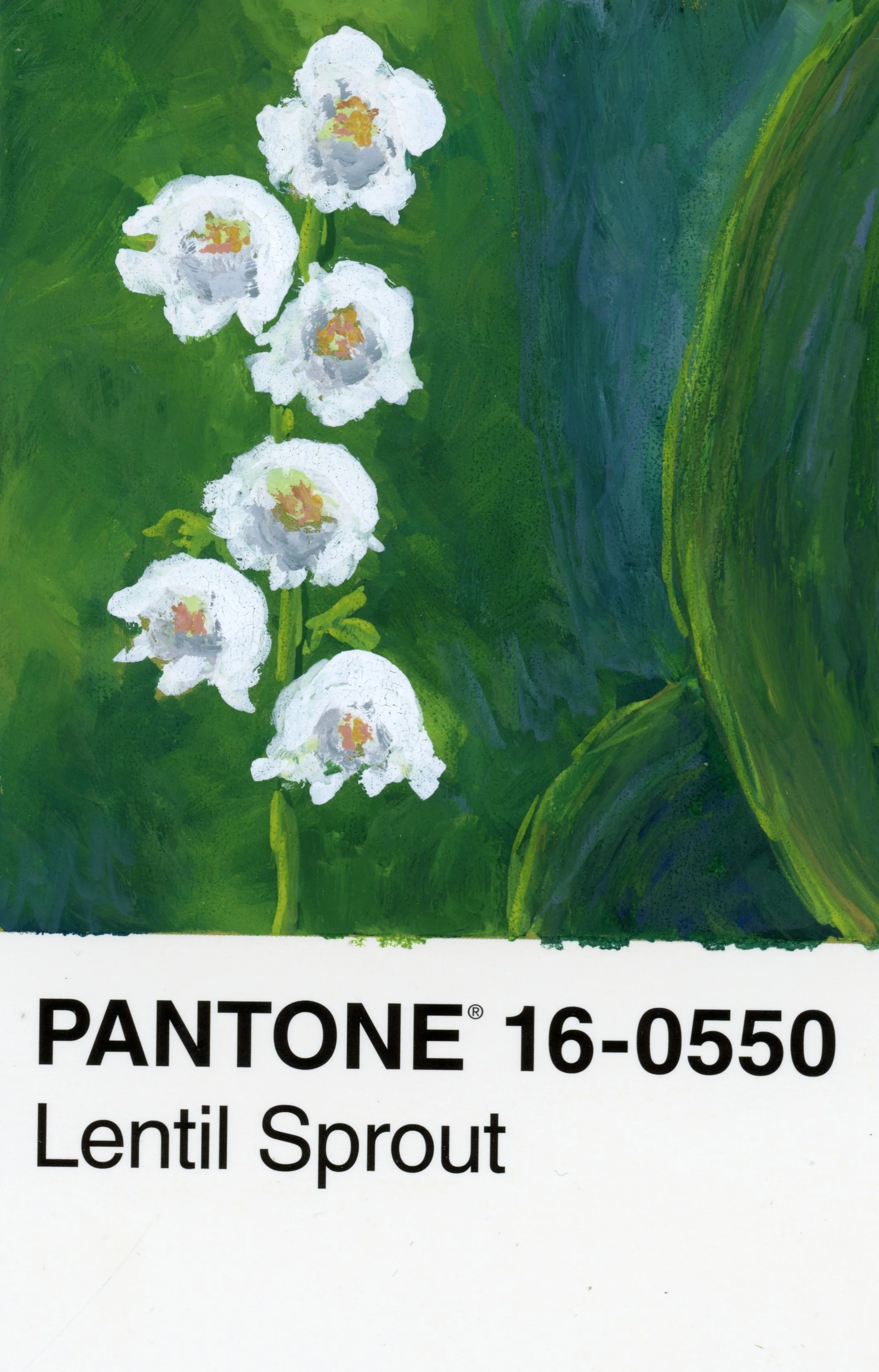 Pantone Postcard