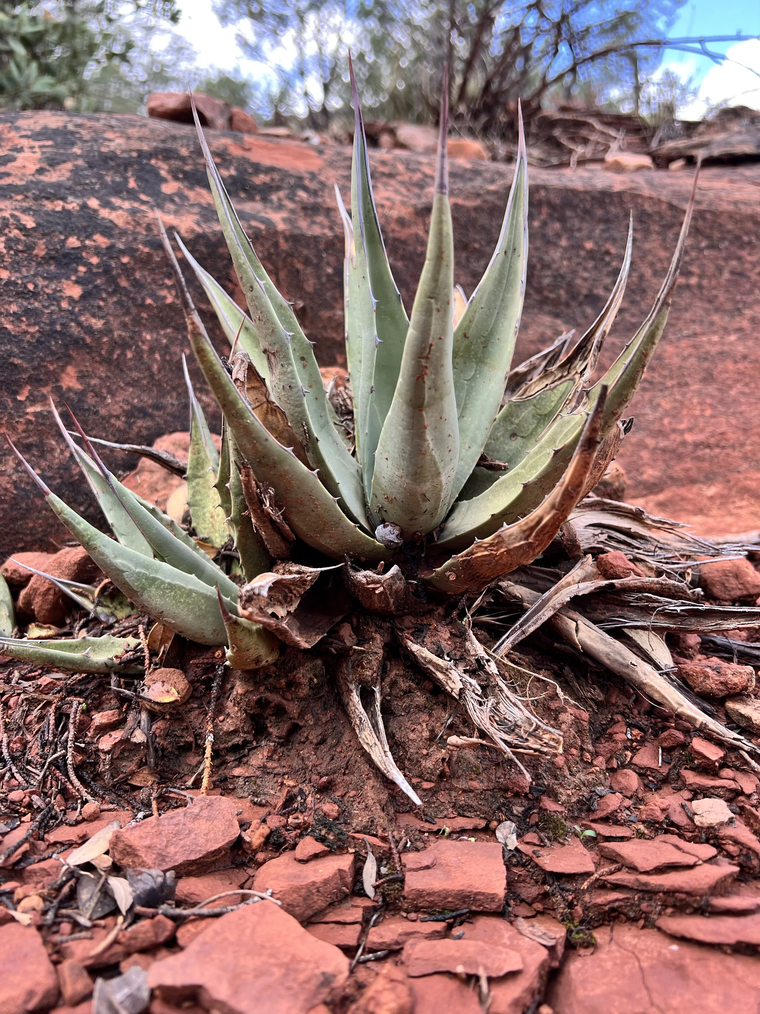 Inspiration is everywhere