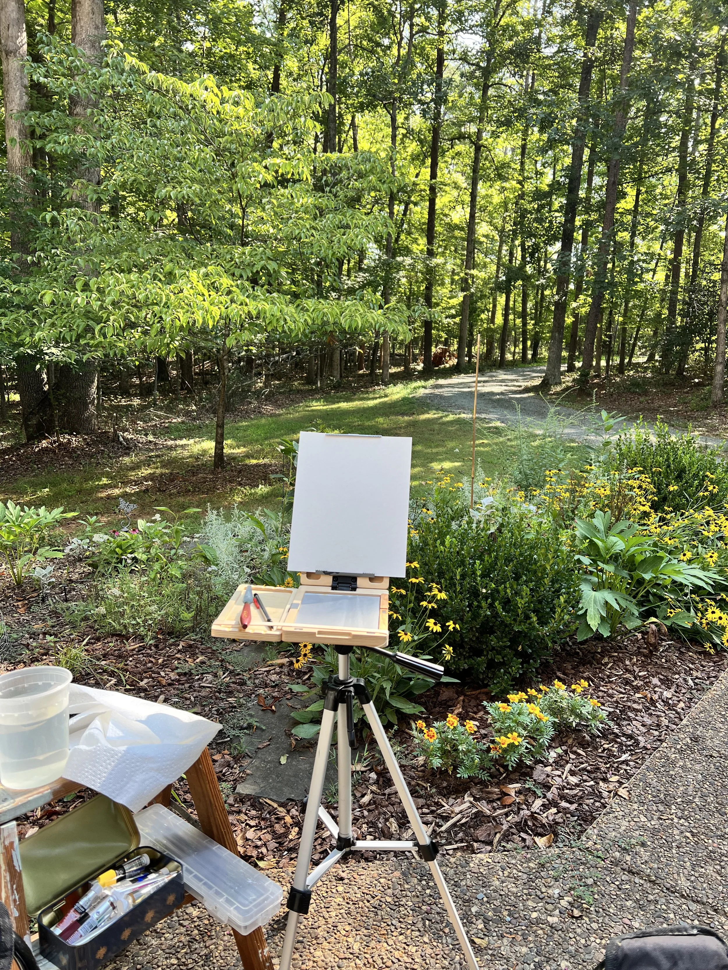 Plein air learning