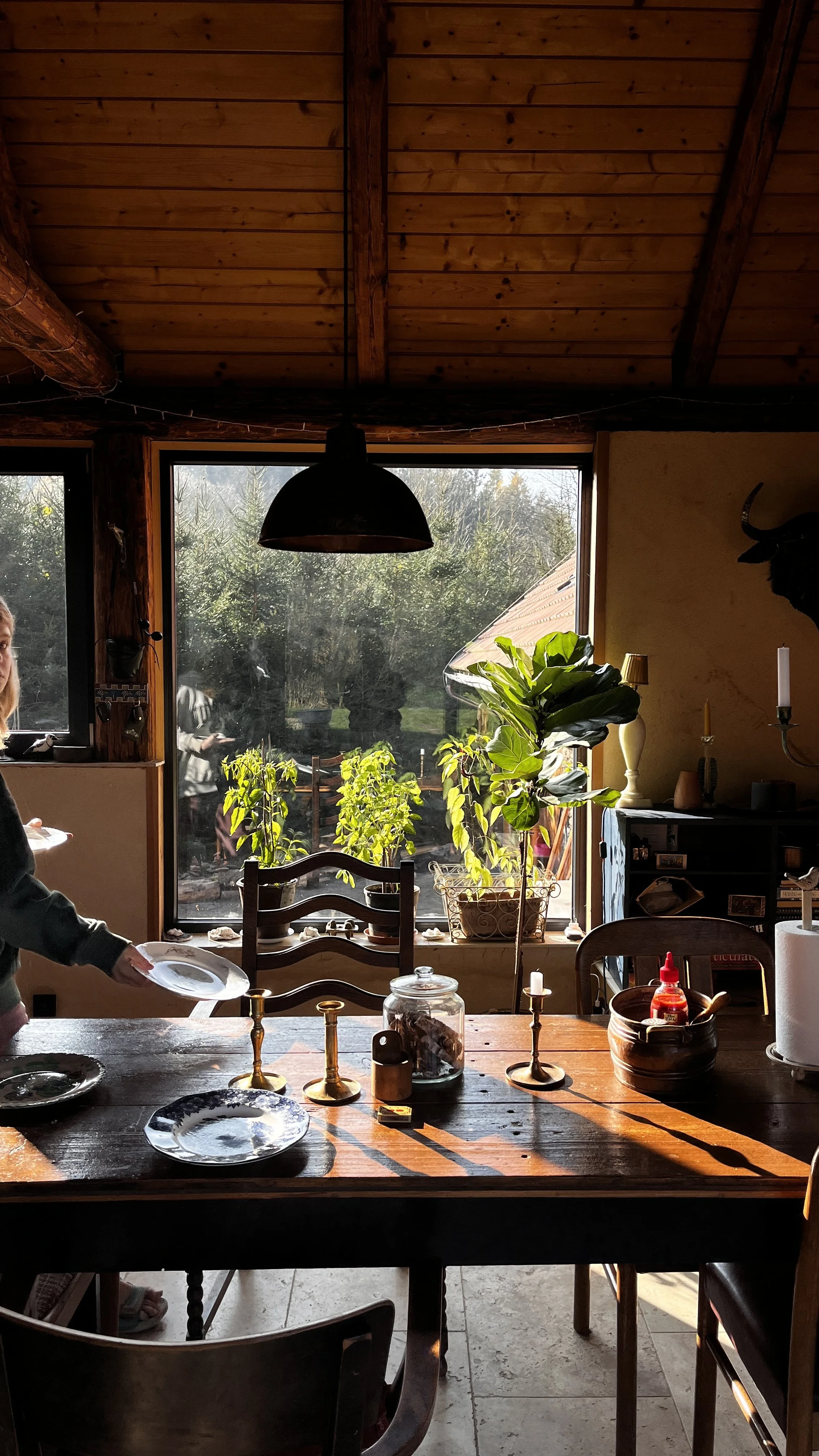 A cozy dining room with a wooden table set with plates, candlesticks, and condiments. Sunlight streams through large windows, illuminating potted plants on the windowsill and the interior decor.