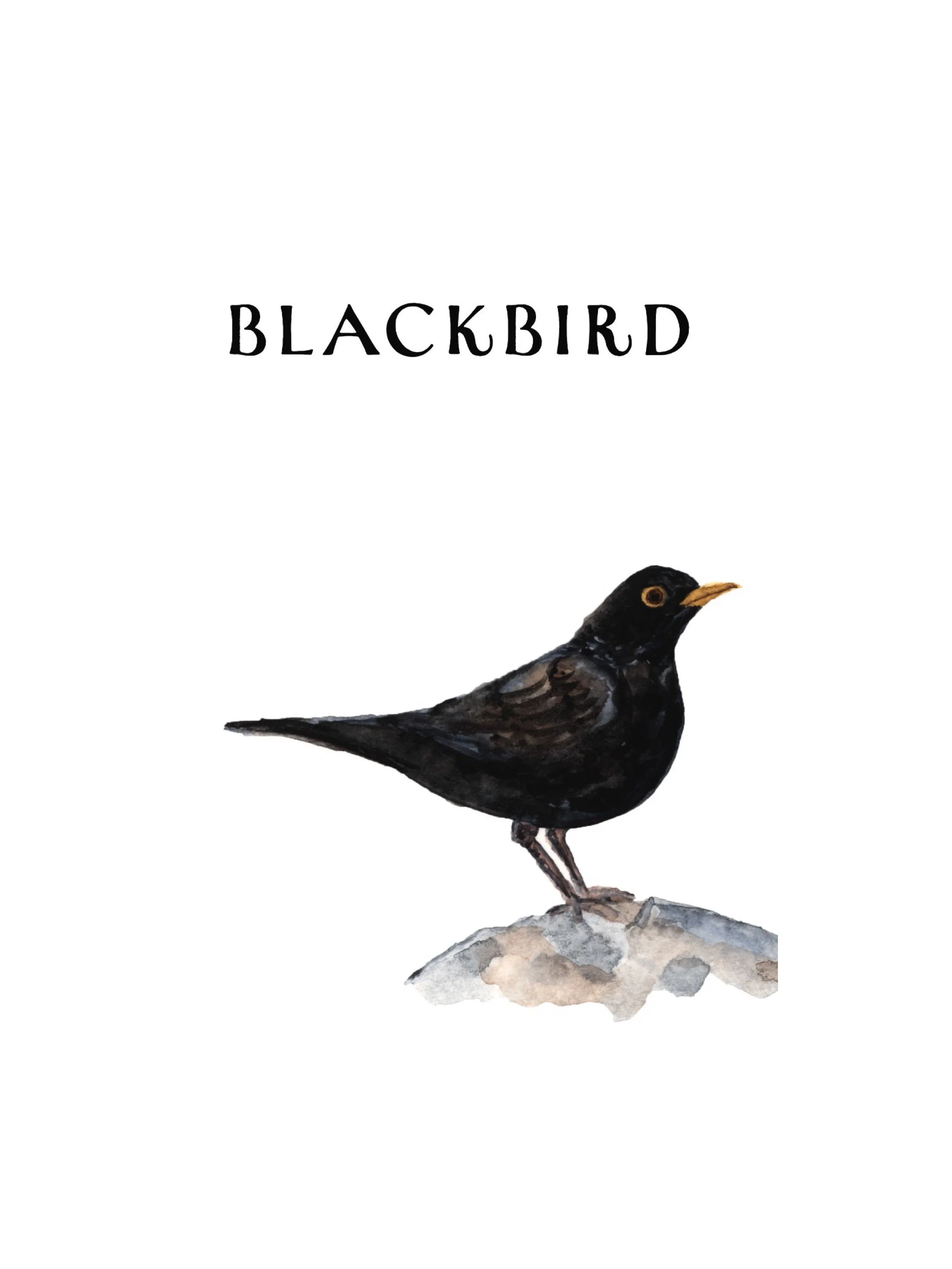 A book cover titled 'Blackbird' with a watercolor illustration of a blackbird standing on a rock.