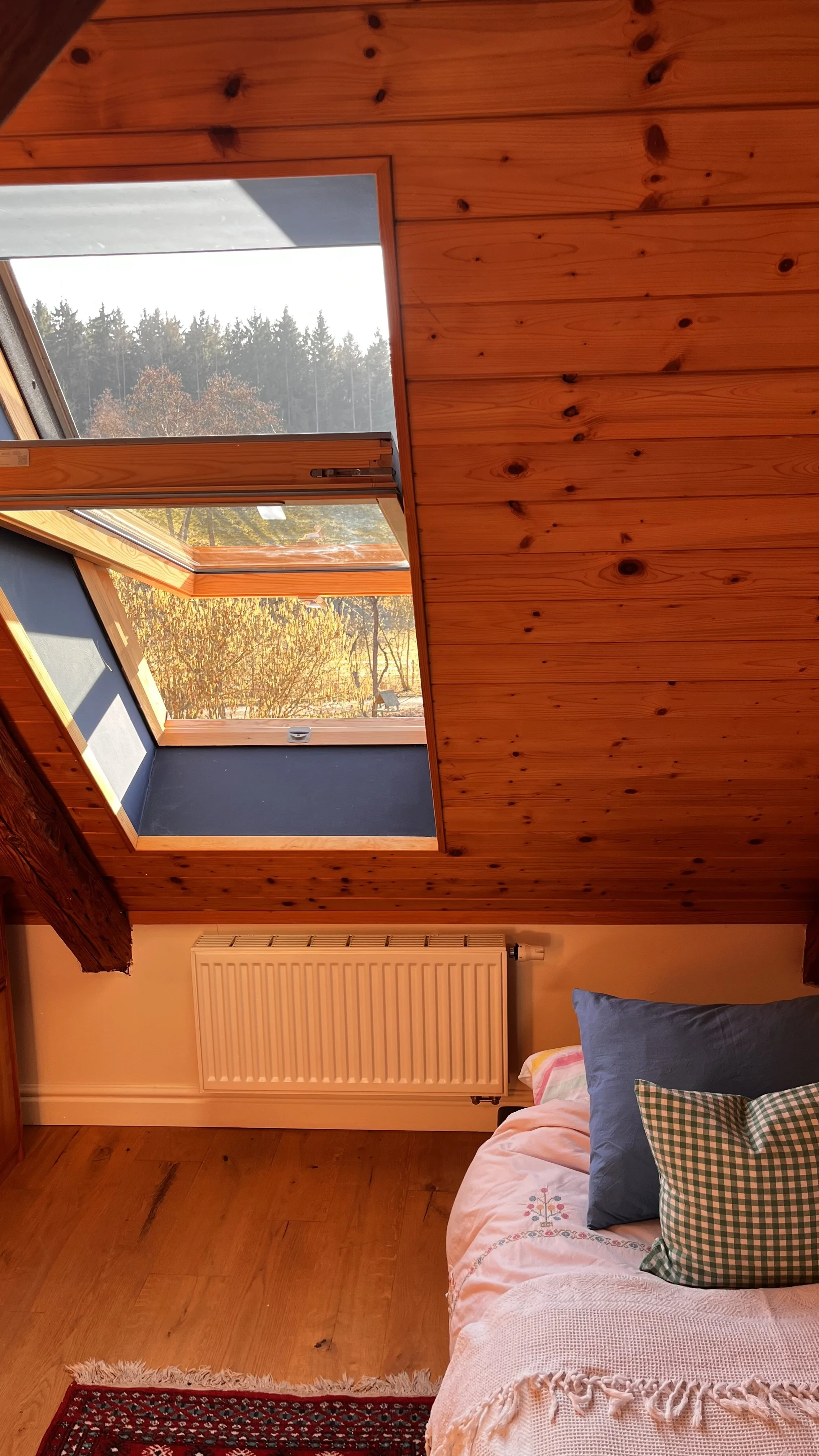 A room with wooden walls and ceiling, featuring a large skylight window showing an outdoor view of trees and autumn foliage. The room has a radiator and a bed with pillows and a blanket.