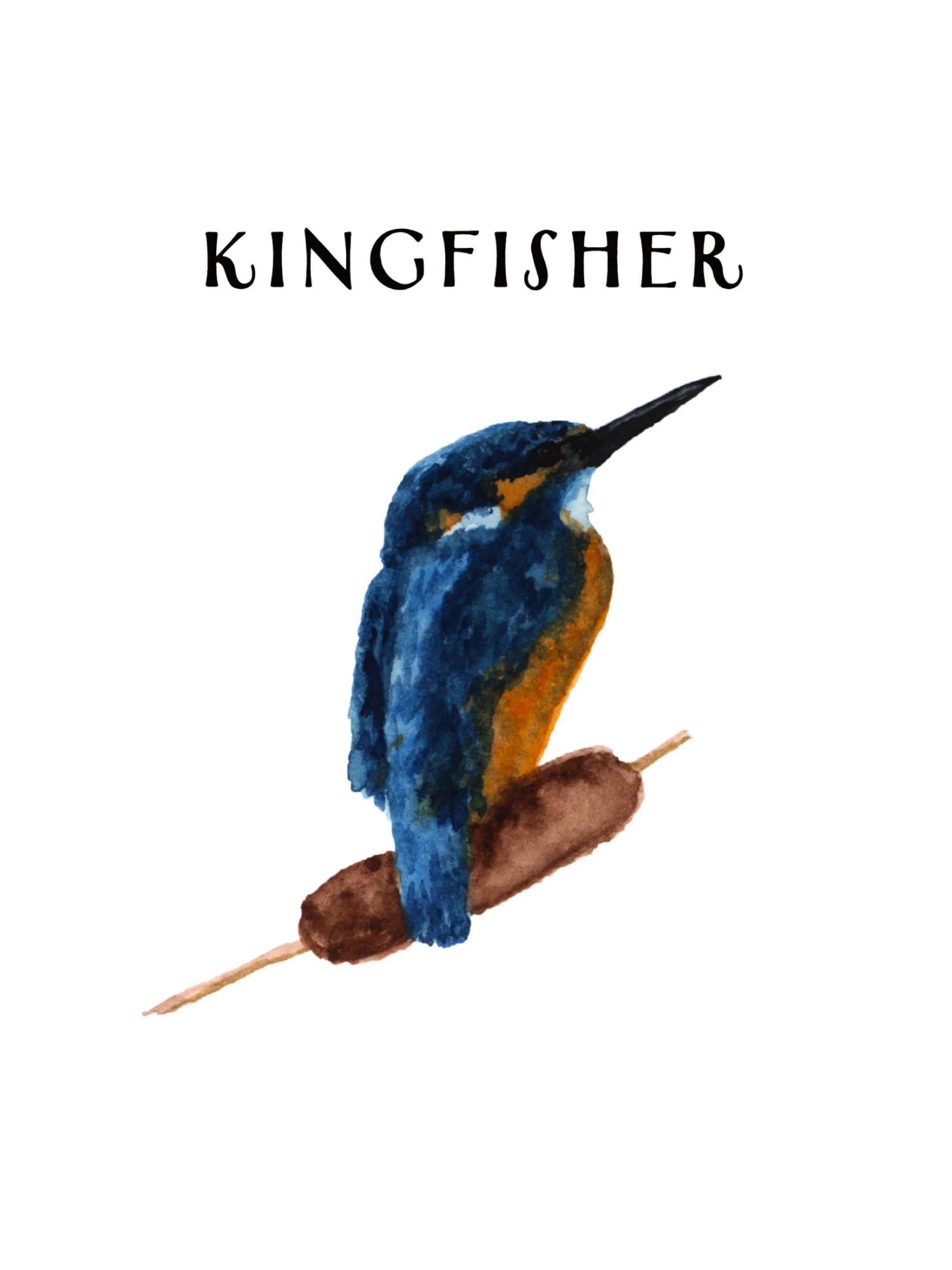 Watercolor illustration of a kingfisher bird perched on a branch with the word 'KINGFISHER' above it.