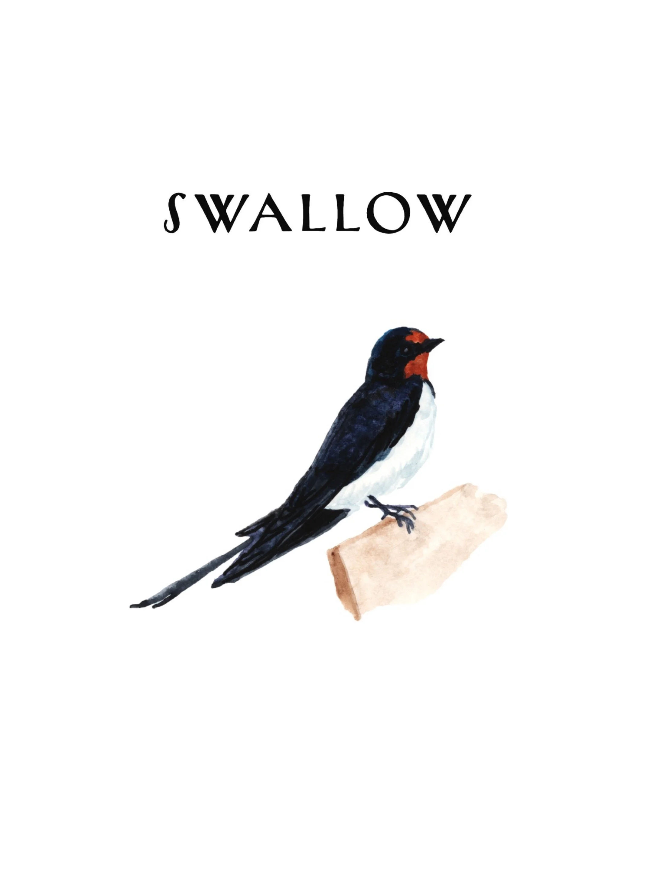 Book cover titled "Swallow" with an illustration of a swallow bird perched on a wood branch.